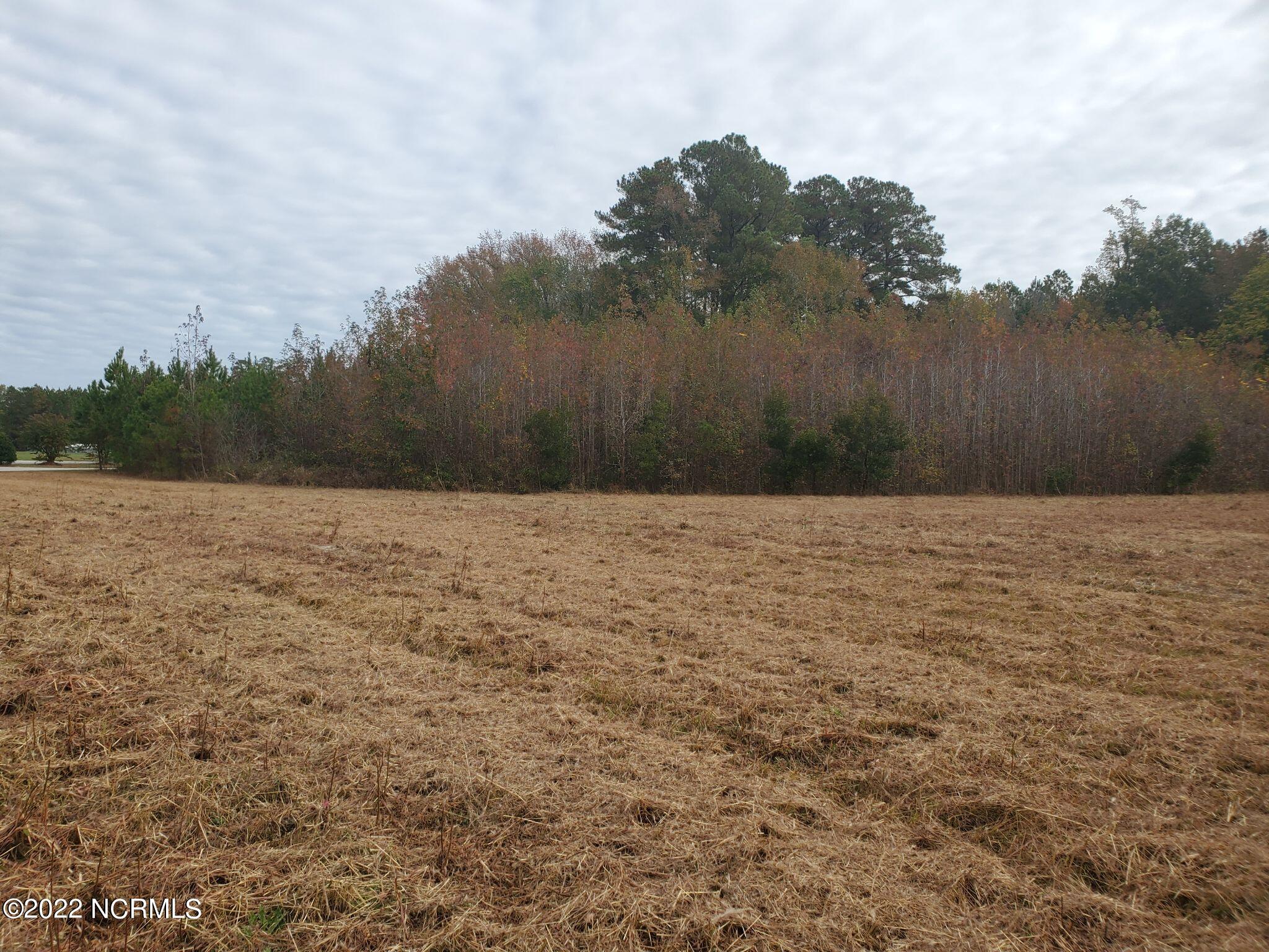 Lot 76 Eagle Nest Trail Property Photo 5
