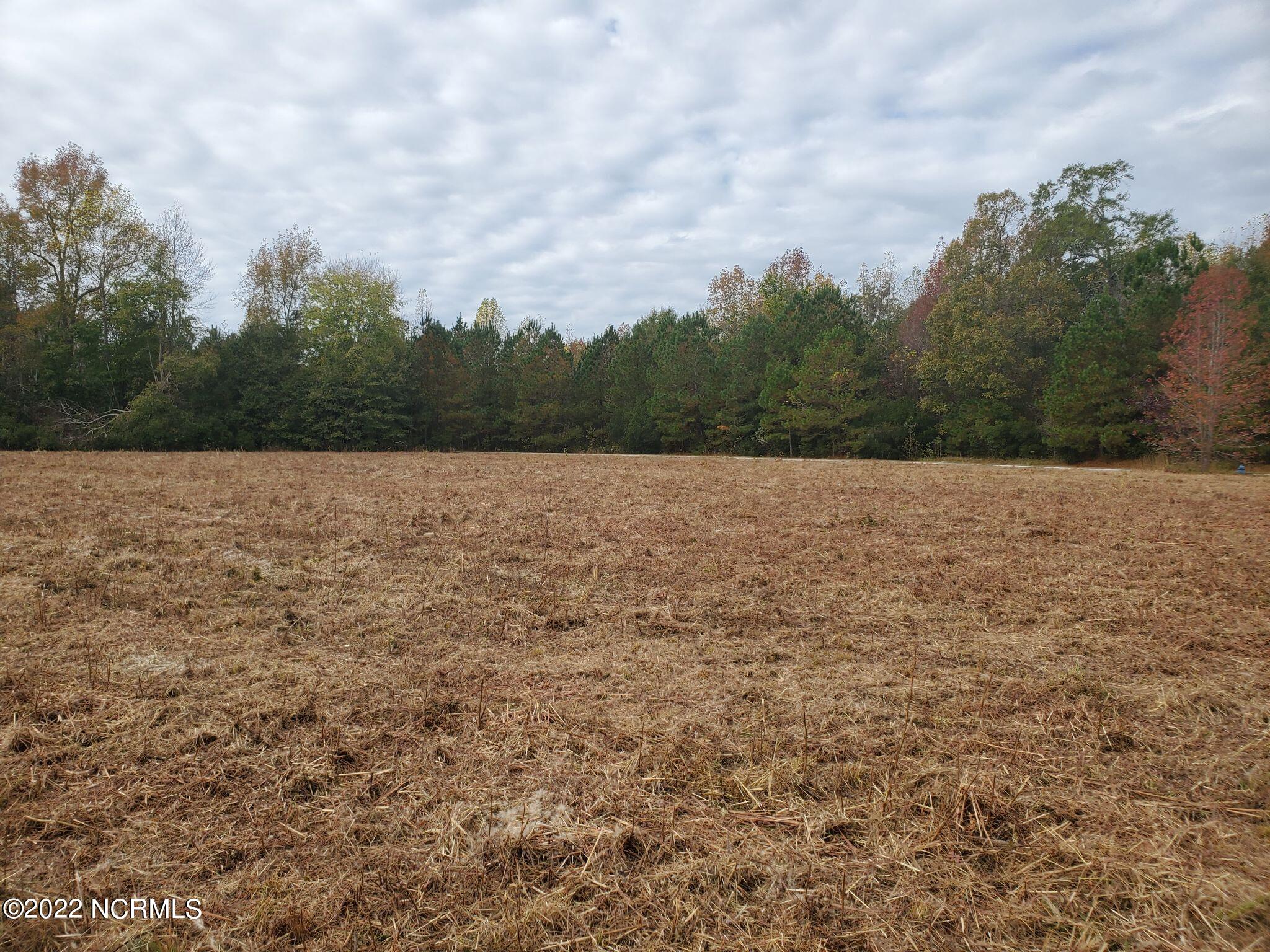 Lot 76 Eagle Nest Trail Property Photo 6