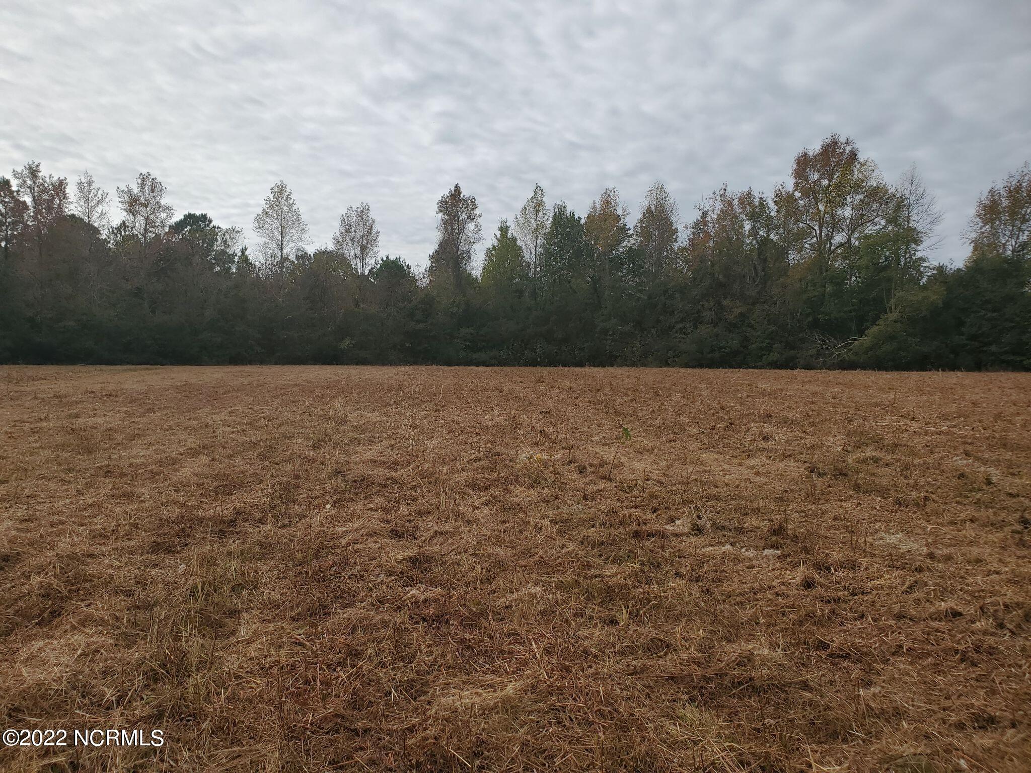 Lot 76 Eagle Nest Trail Property Photo 7