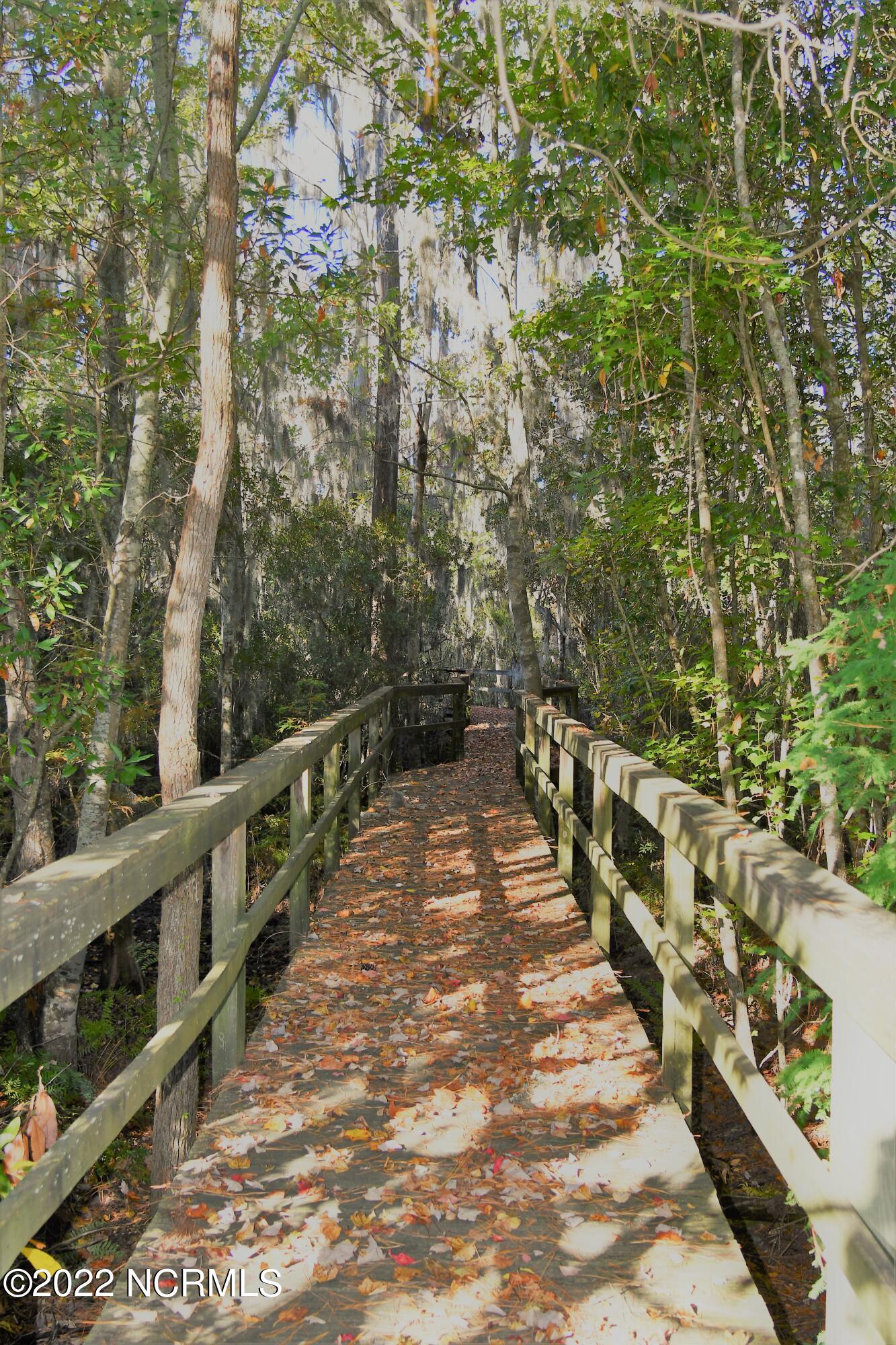 Lot 76 Eagle Nest Trail Property Photo 31