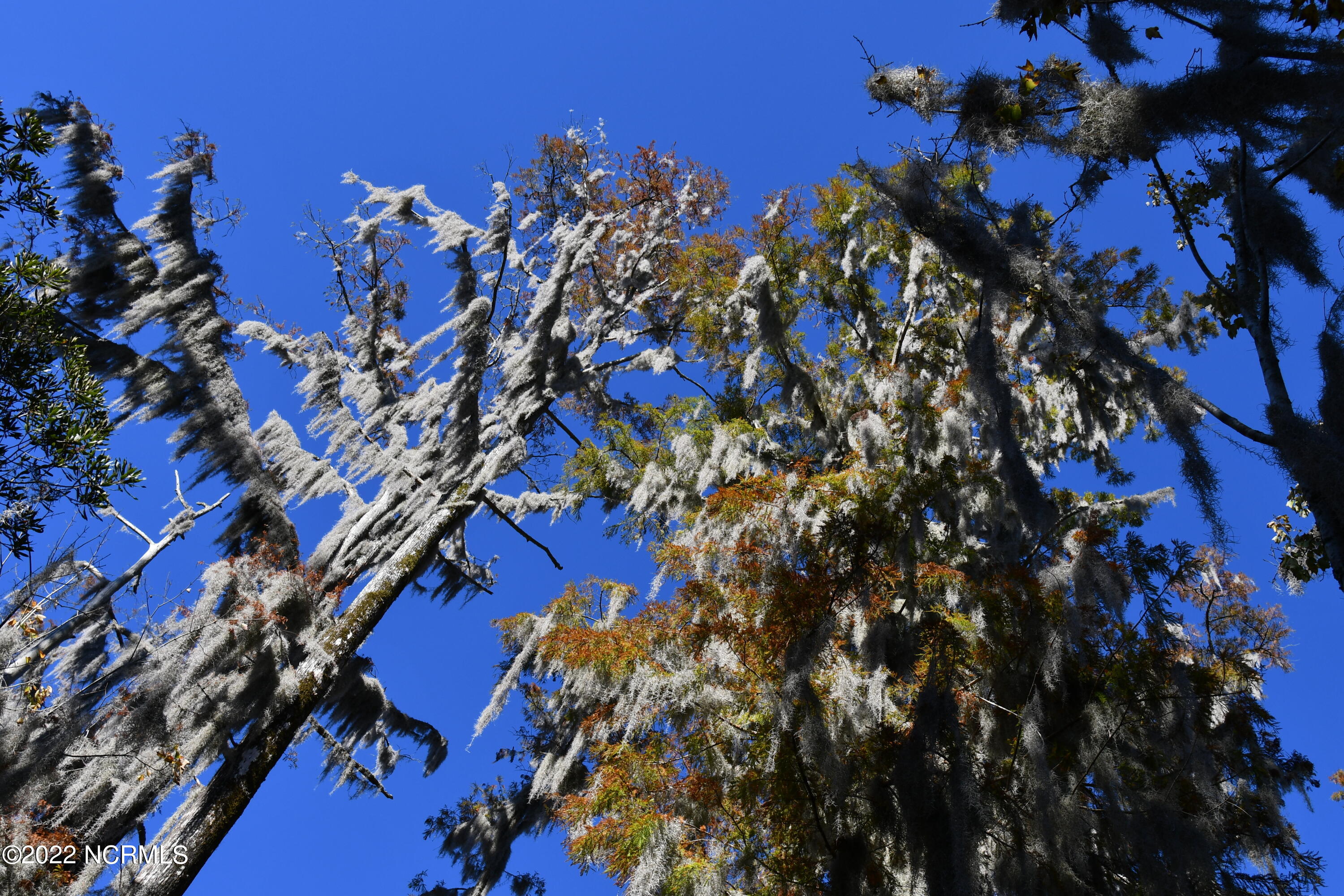 Lot 76 Eagle Nest Trail Property Photo 33