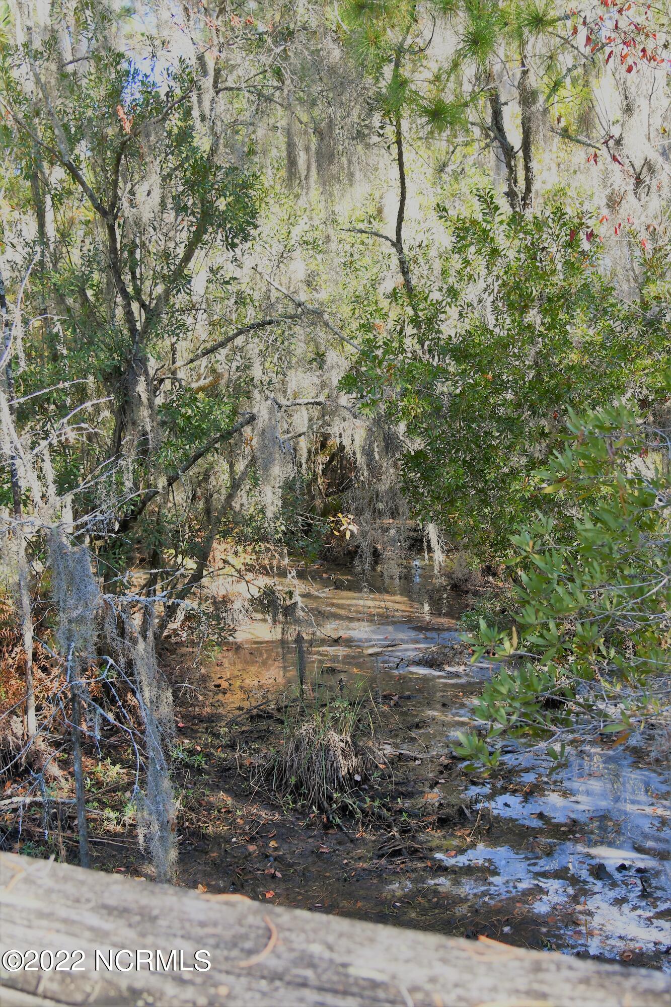 Lot 76 Eagle Nest Trail Property Photo 34