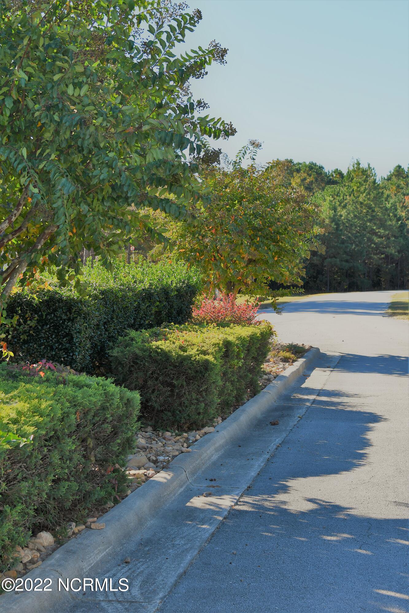 Lot 76 Eagle Nest Trail Property Photo 56