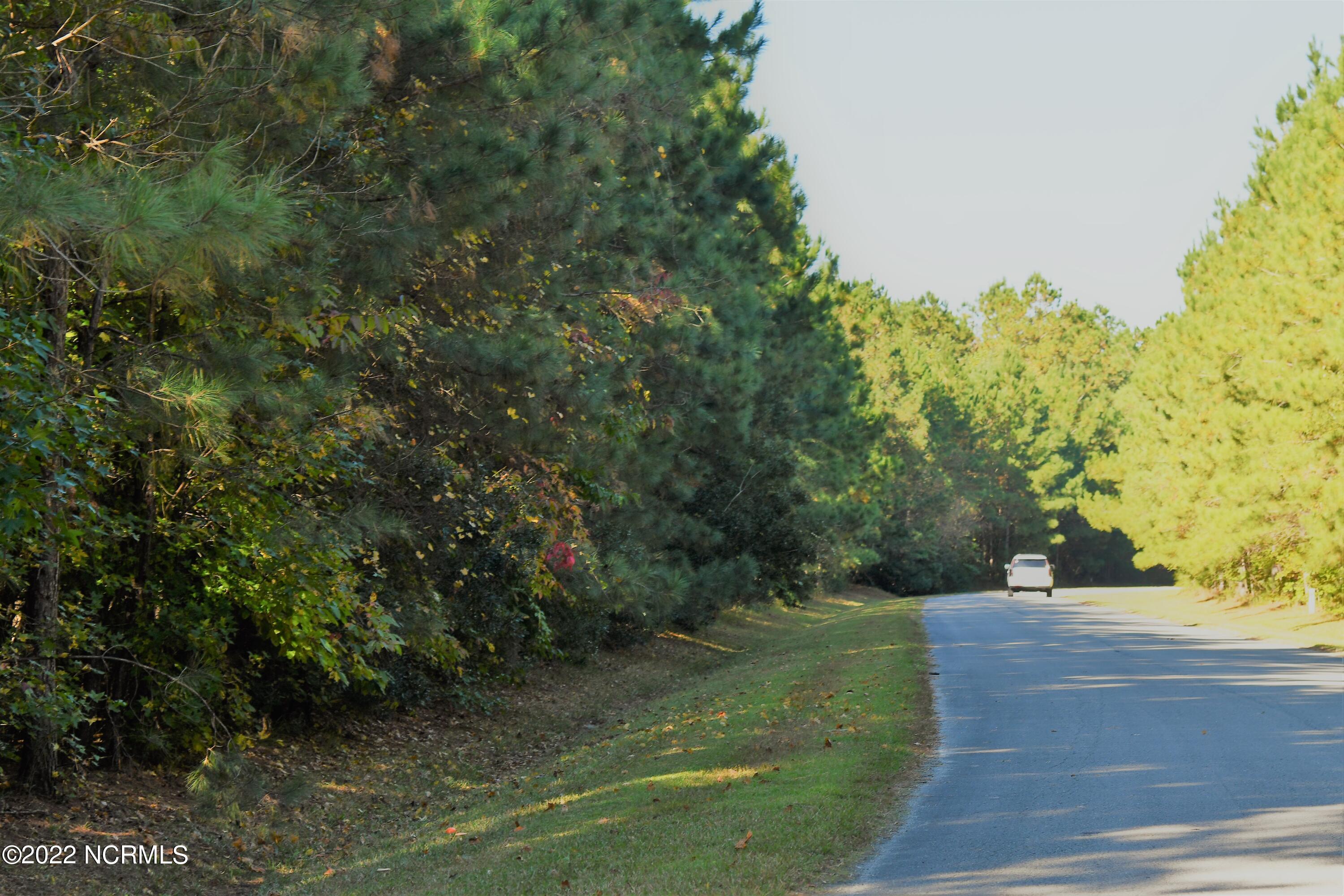 Lot 76 Eagle Nest Trail Property Photo 58