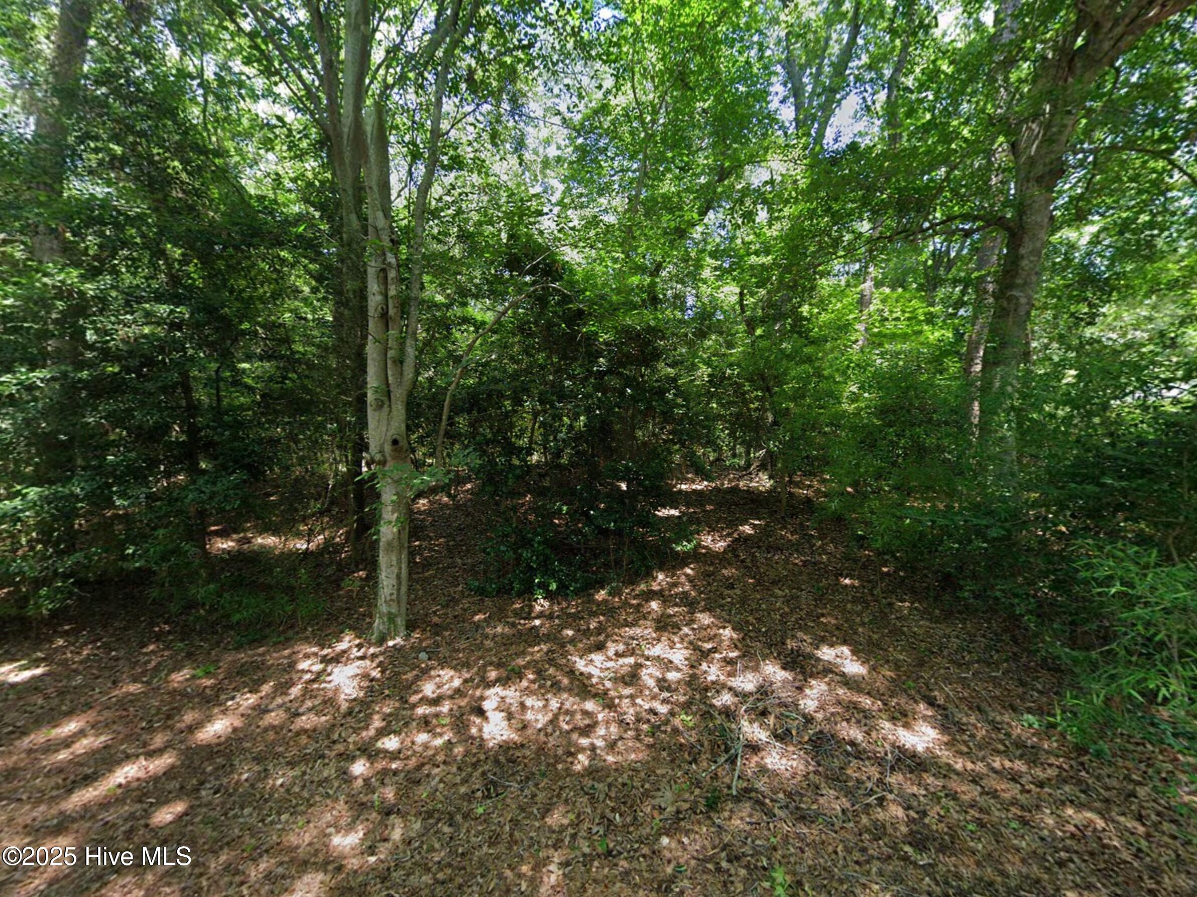 162 Beech Tree Trail Property Photo