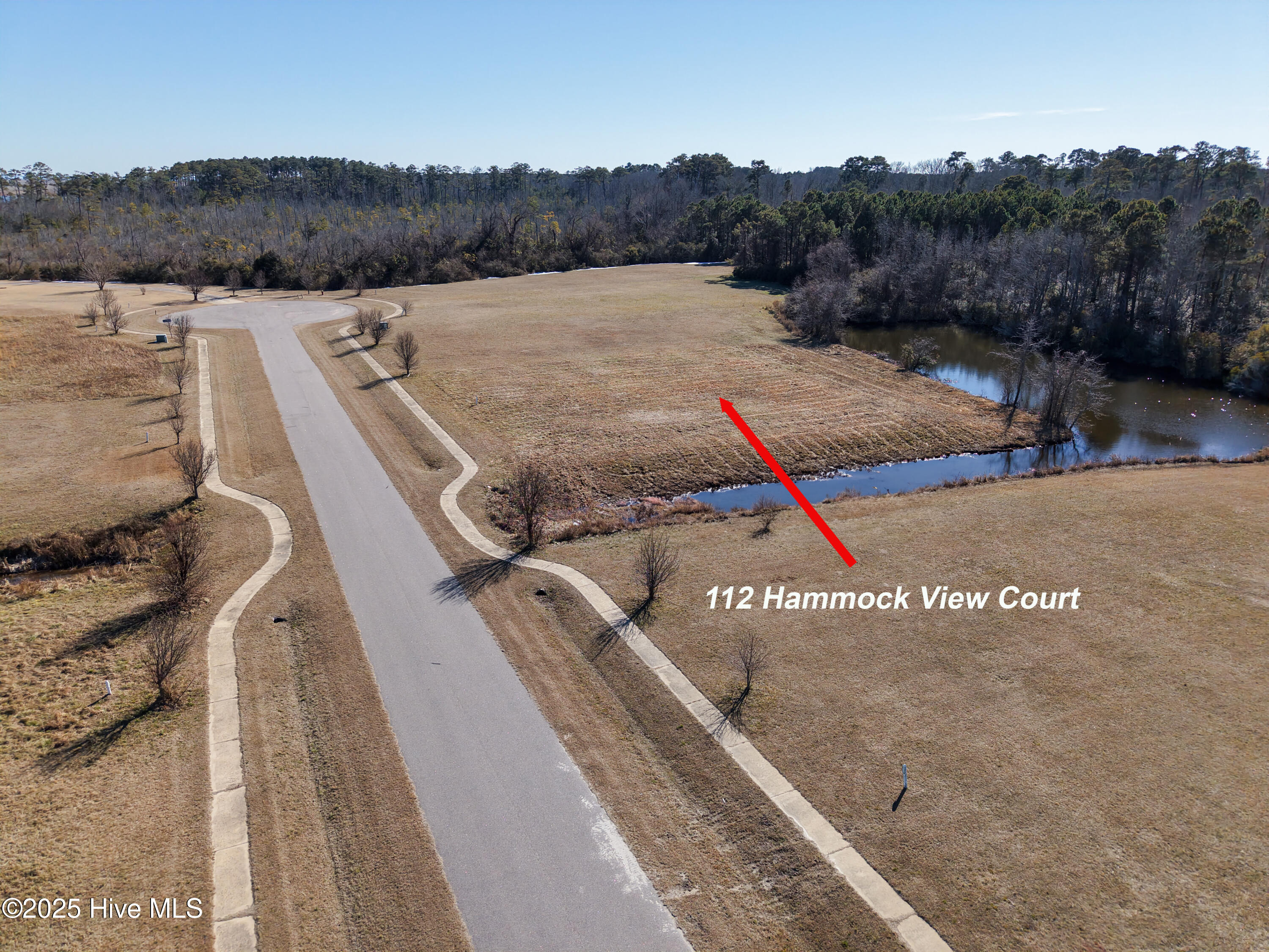 112 Hammock View Court Property Photo 6