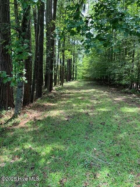 117 Shady Circle Property Photo 3