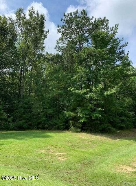 117 Shady Circle Property Photo 4