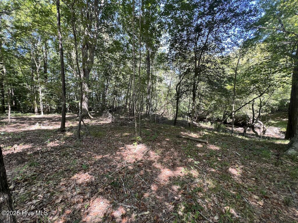 0 Barber Mill Road Property Photo 42