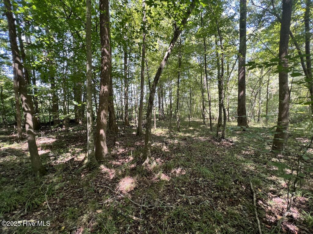 0 Barber Mill Road Property Photo 44