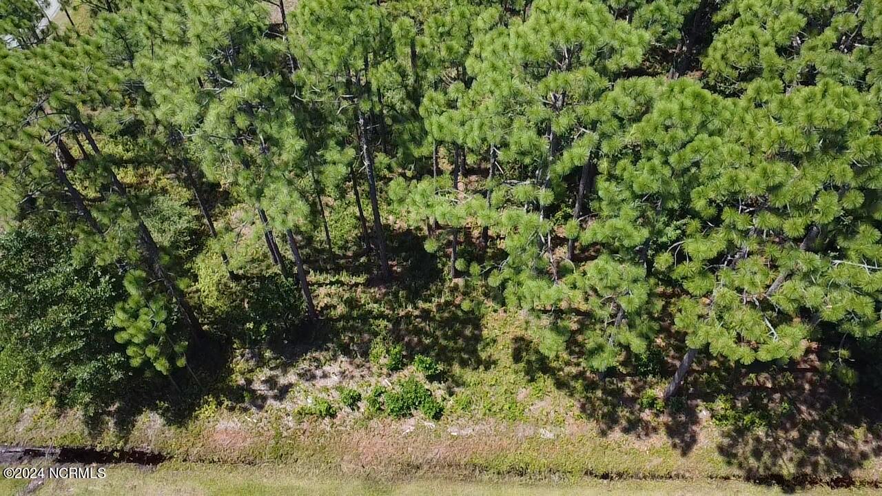 Lots 50-52 Windemere Property Photo 5