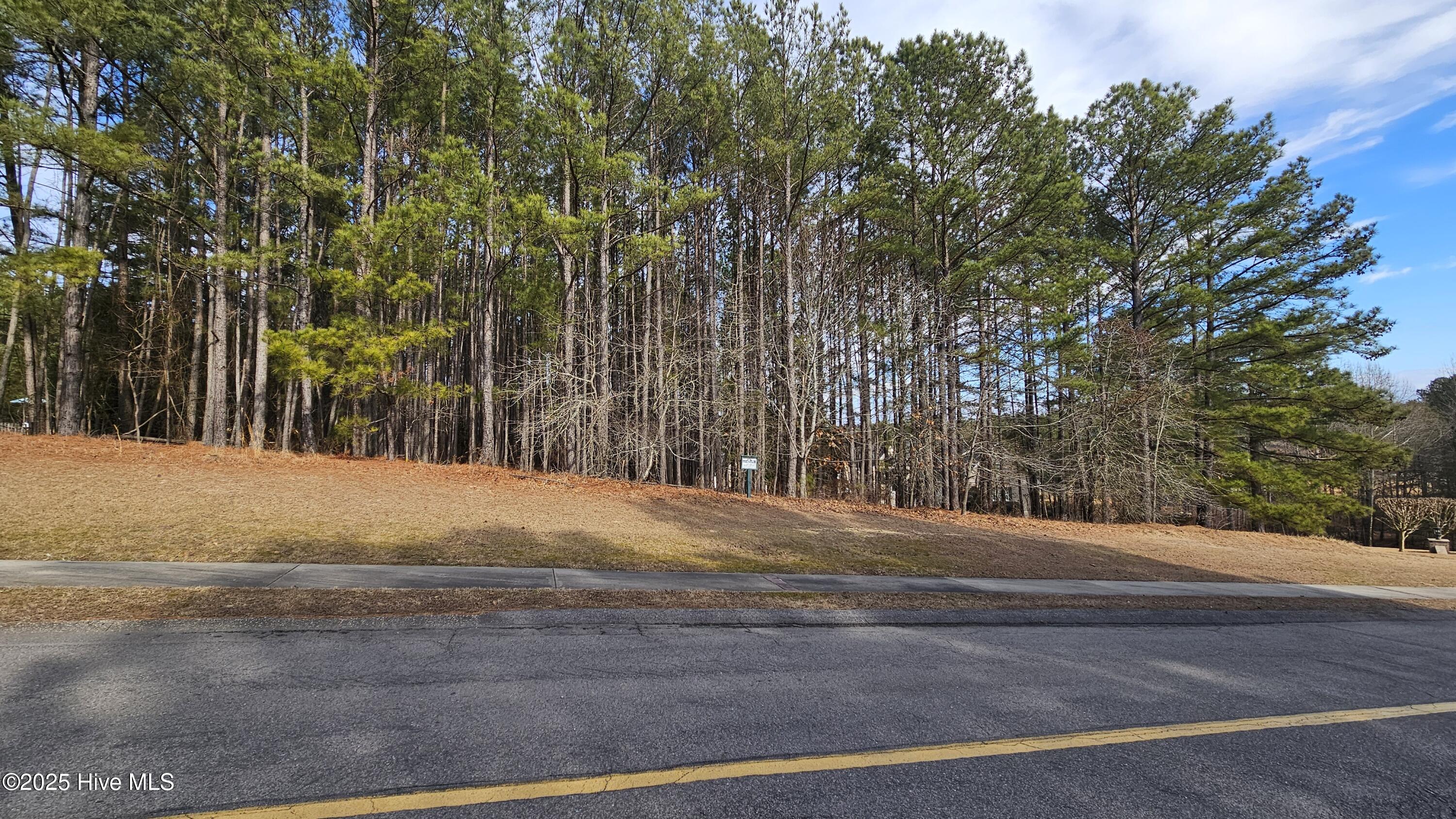 175 Broken Ridge Trail Property Photo 3