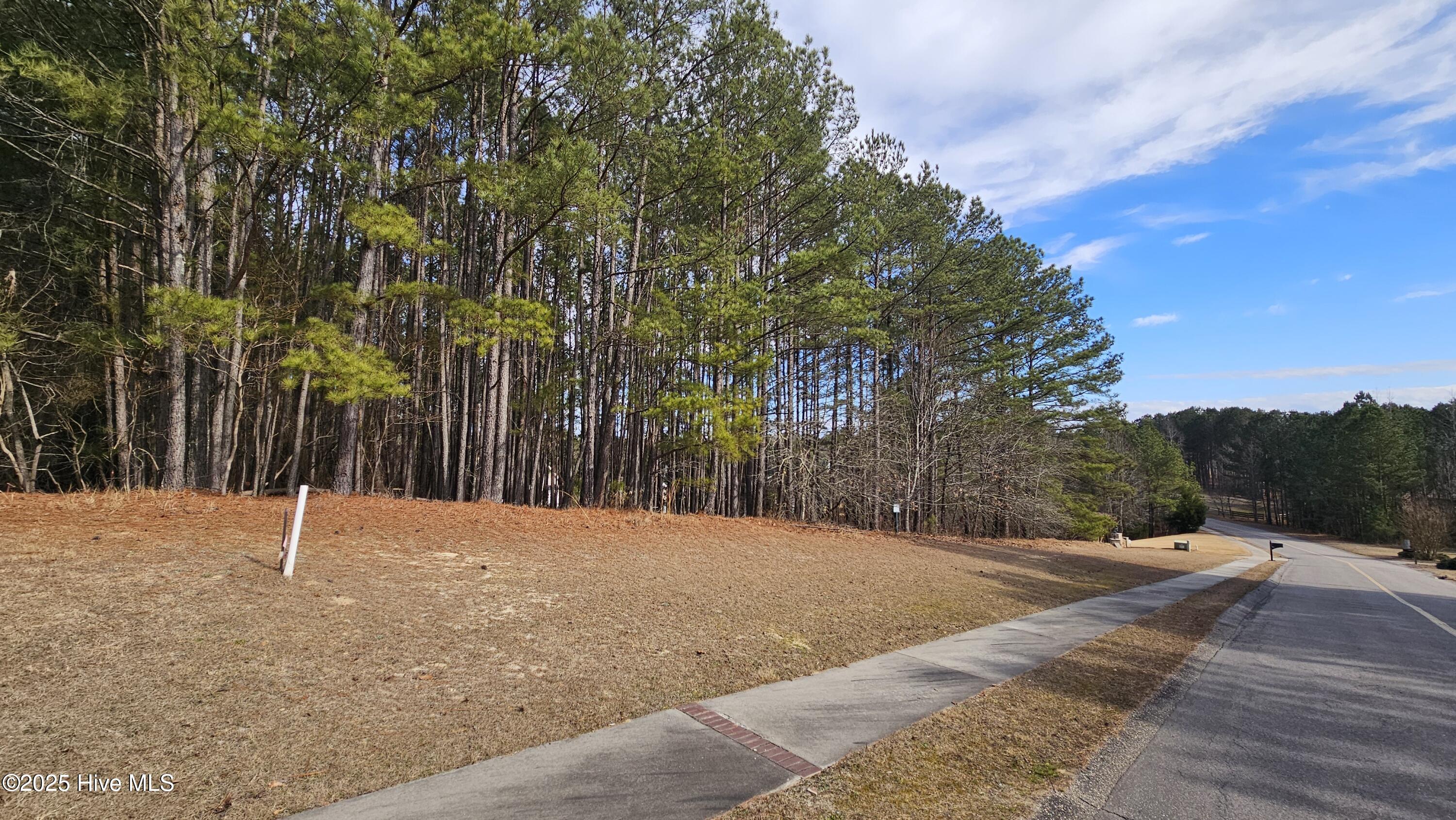 175 Broken Ridge Trail Property Photo 4