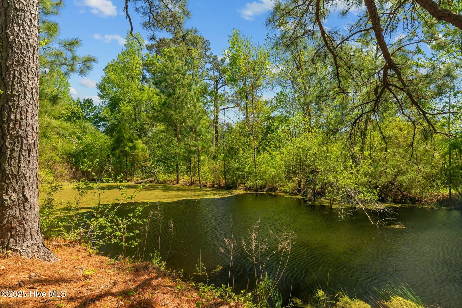 185 Justice Road Property Photo 109