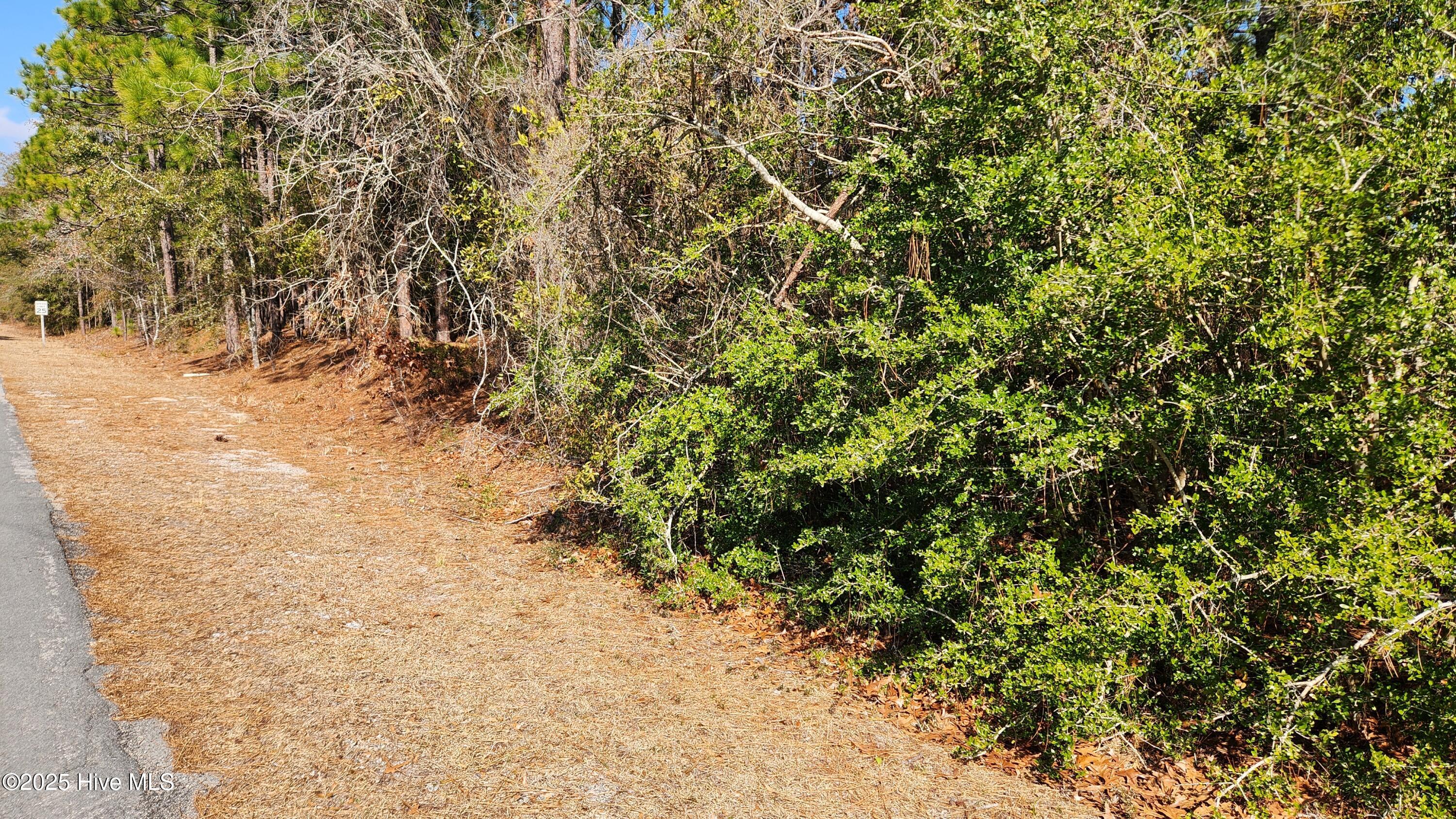 2.23 Acres Alton Lennon Drive Property Photo 3