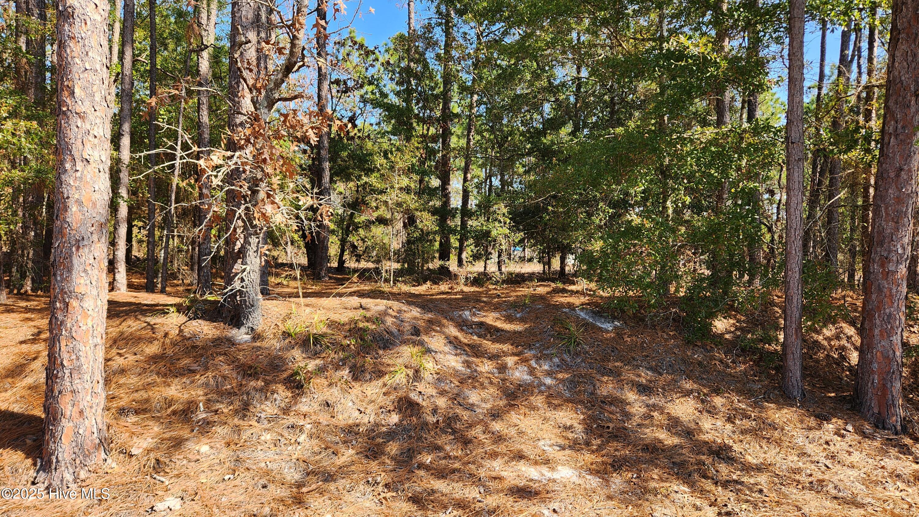 2.23 Acres Alton Lennon Drive Property Photo 4
