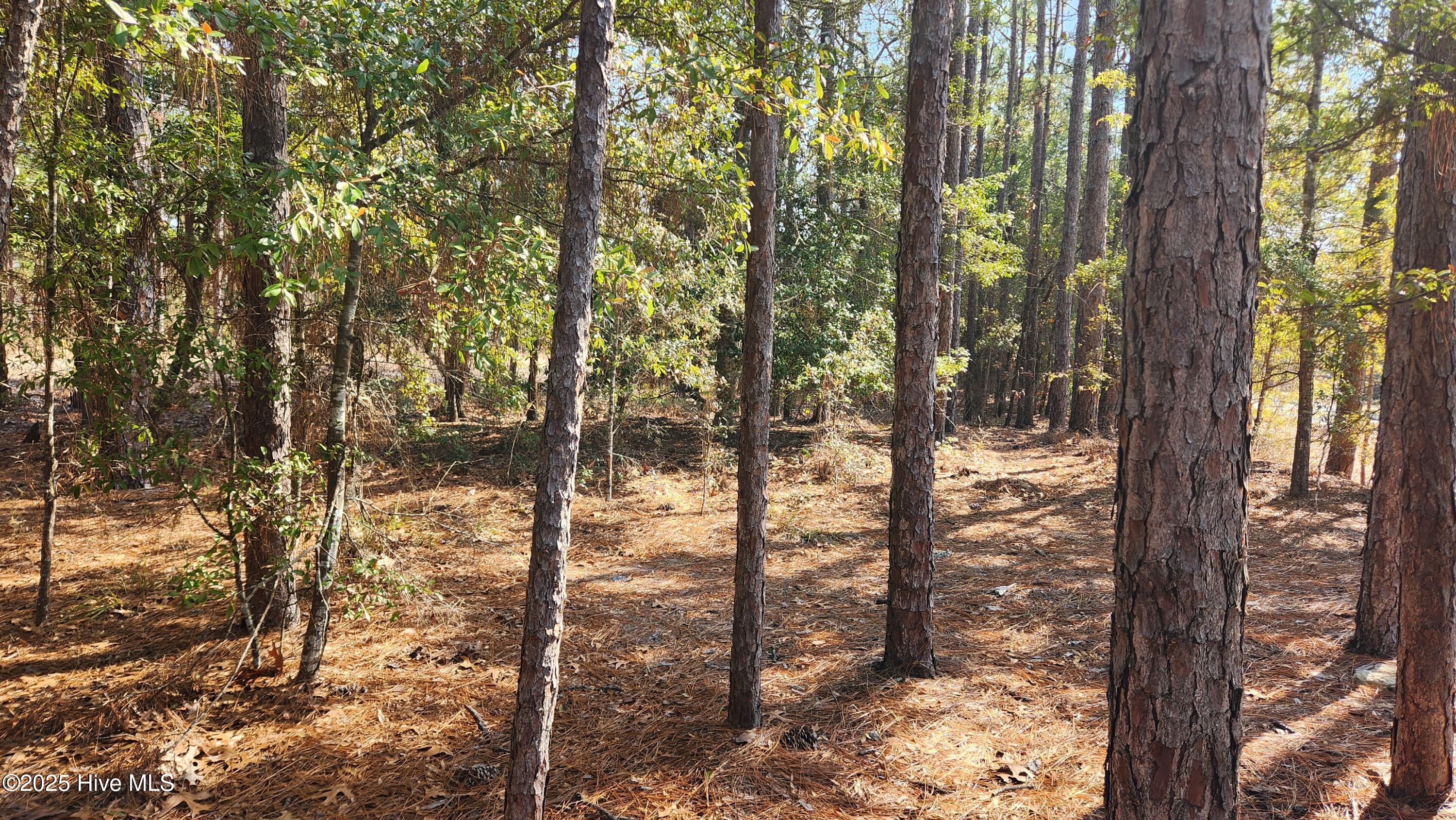 2.23 Acres Alton Lennon Drive Property Photo 6