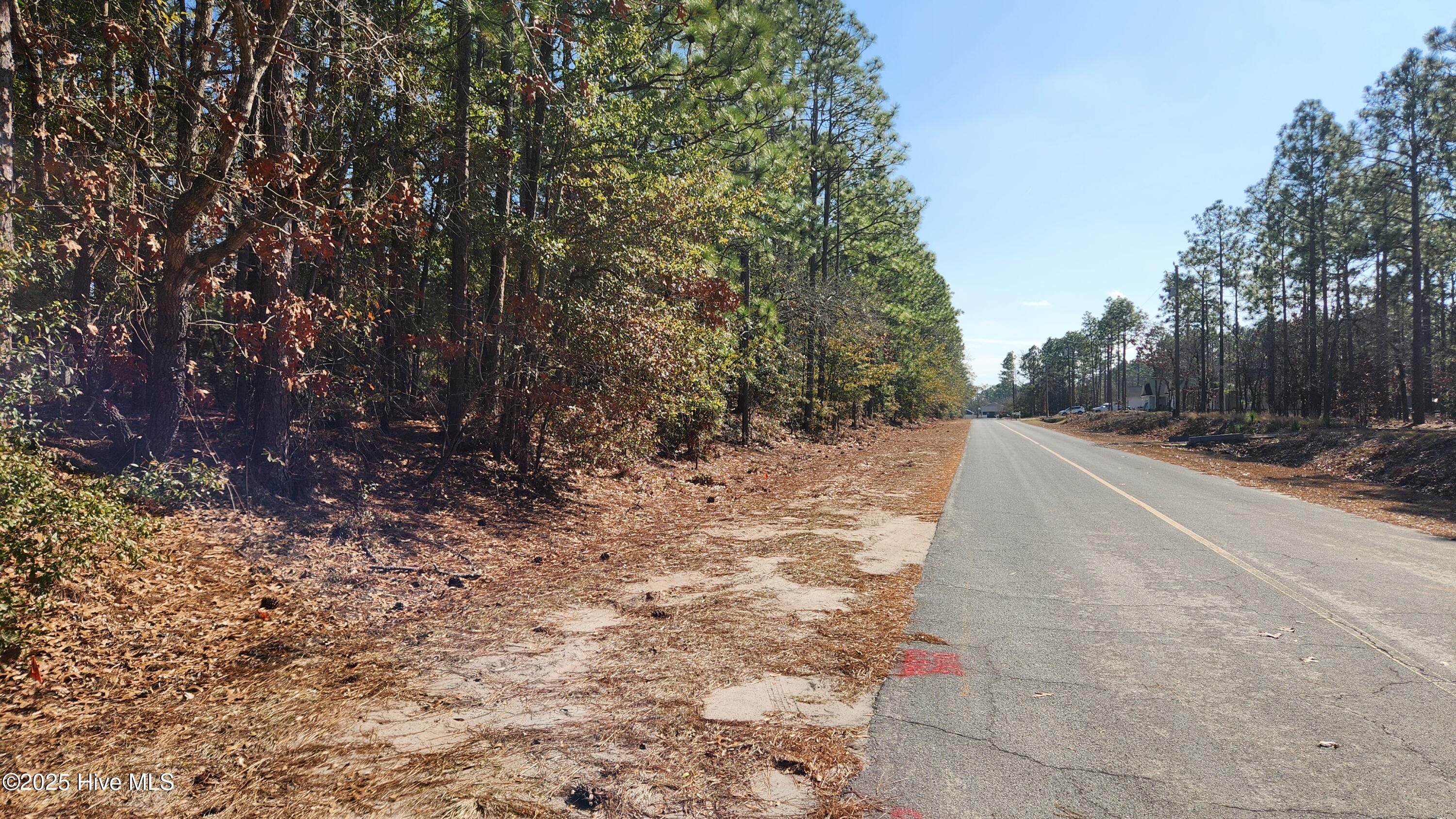 2.23 Acres Alton Lennon Drive Property Photo 7