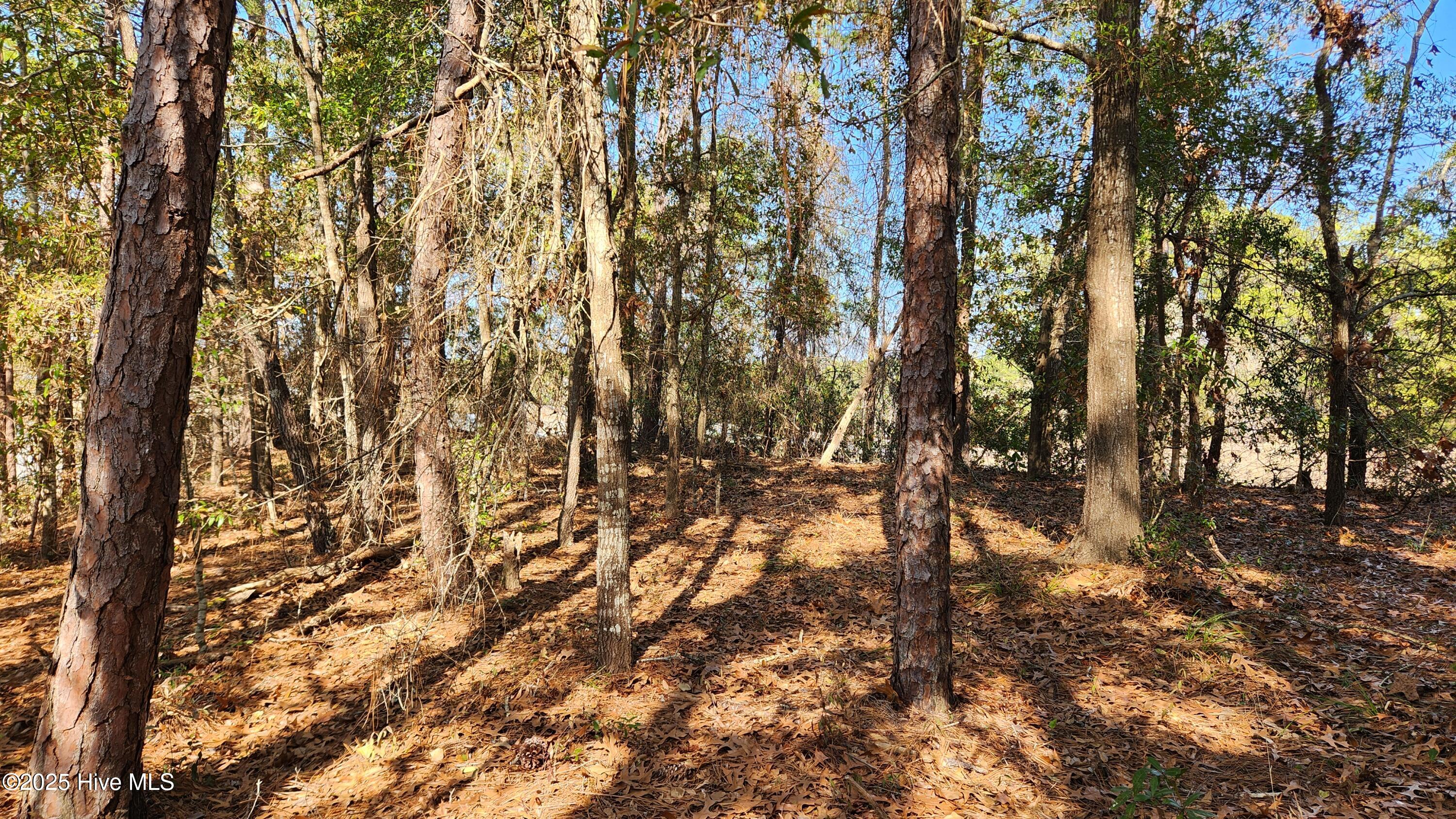 2.23 Acres Alton Lennon Drive Property Photo 8