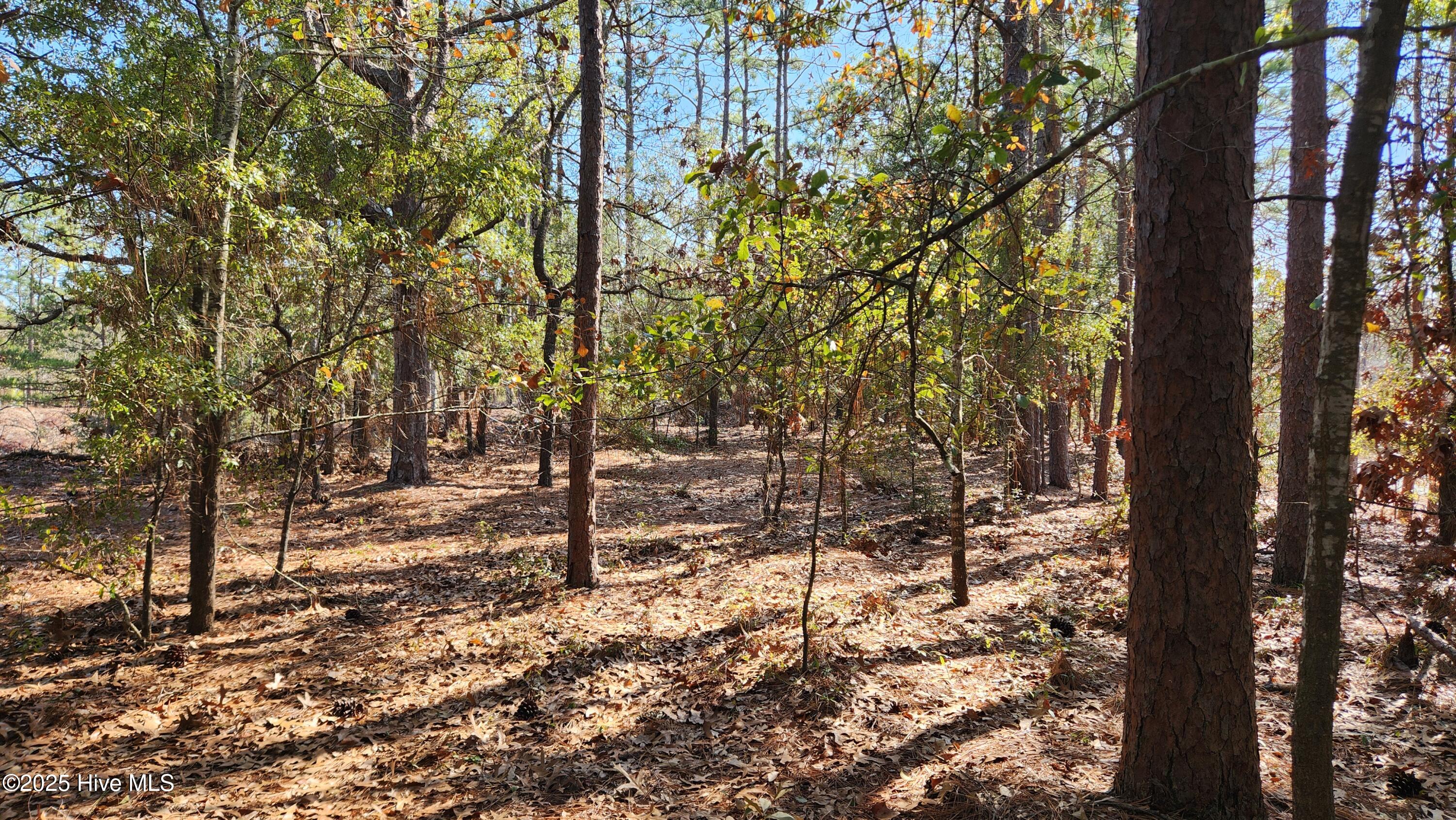 2.23 Acres Alton Lennon Drive Property Photo 9