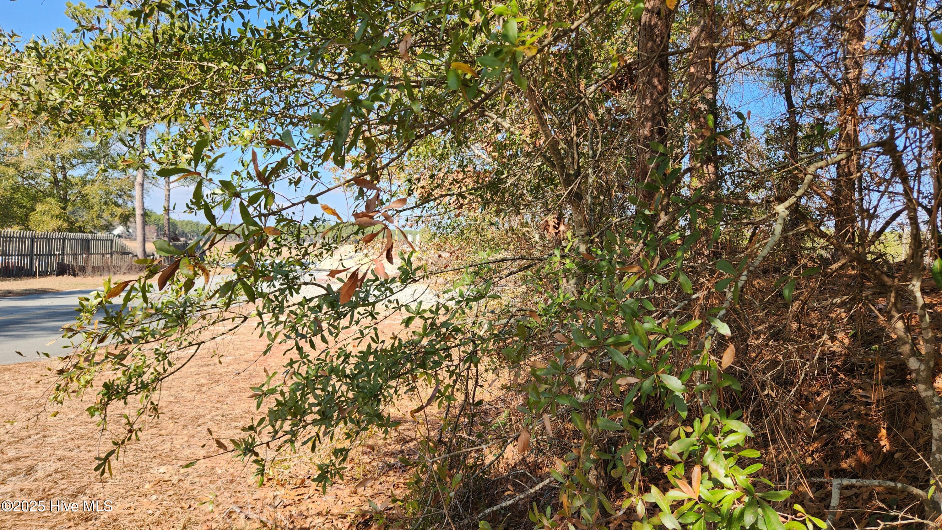 2.23 Acres Alton Lennon Drive Property Photo 10