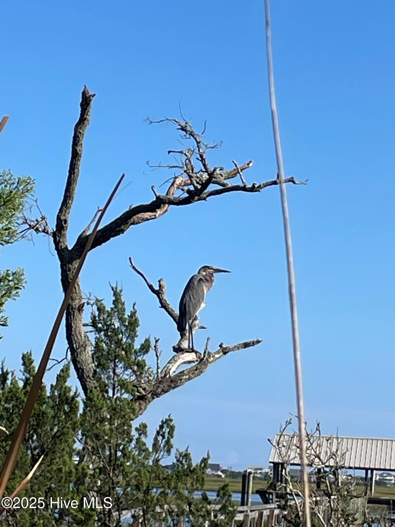 131 Sound View Drive Property Photo 44