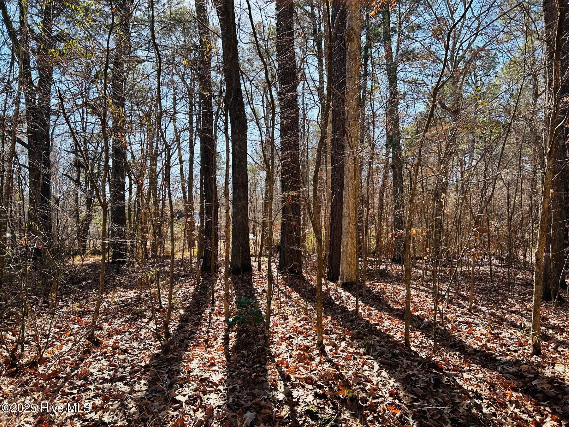49 E Inlet Circle Property Photo 1