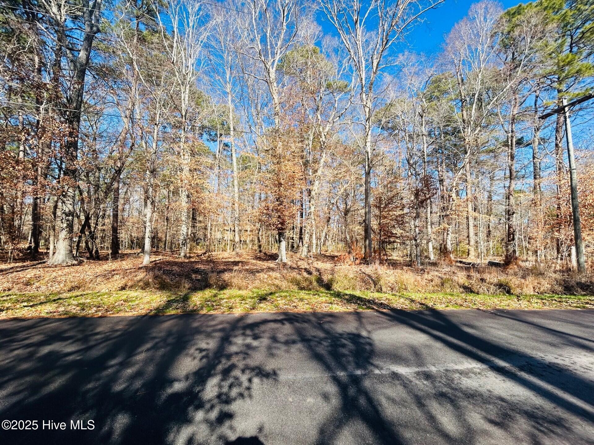 49 E Inlet Circle Property Photo 2