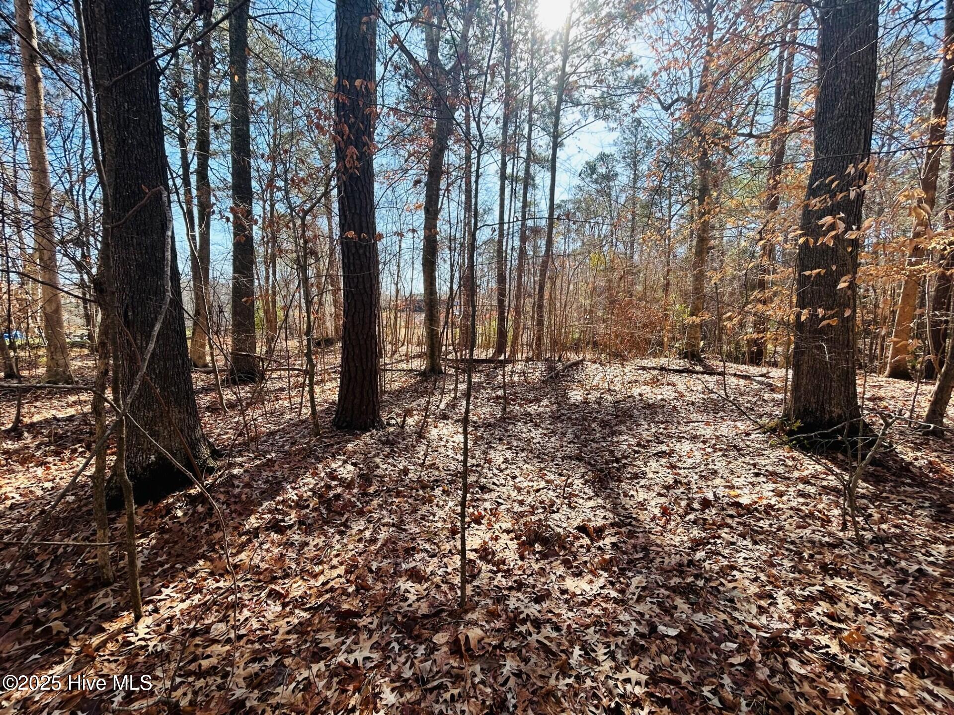 49 E Inlet Circle Property Photo 4