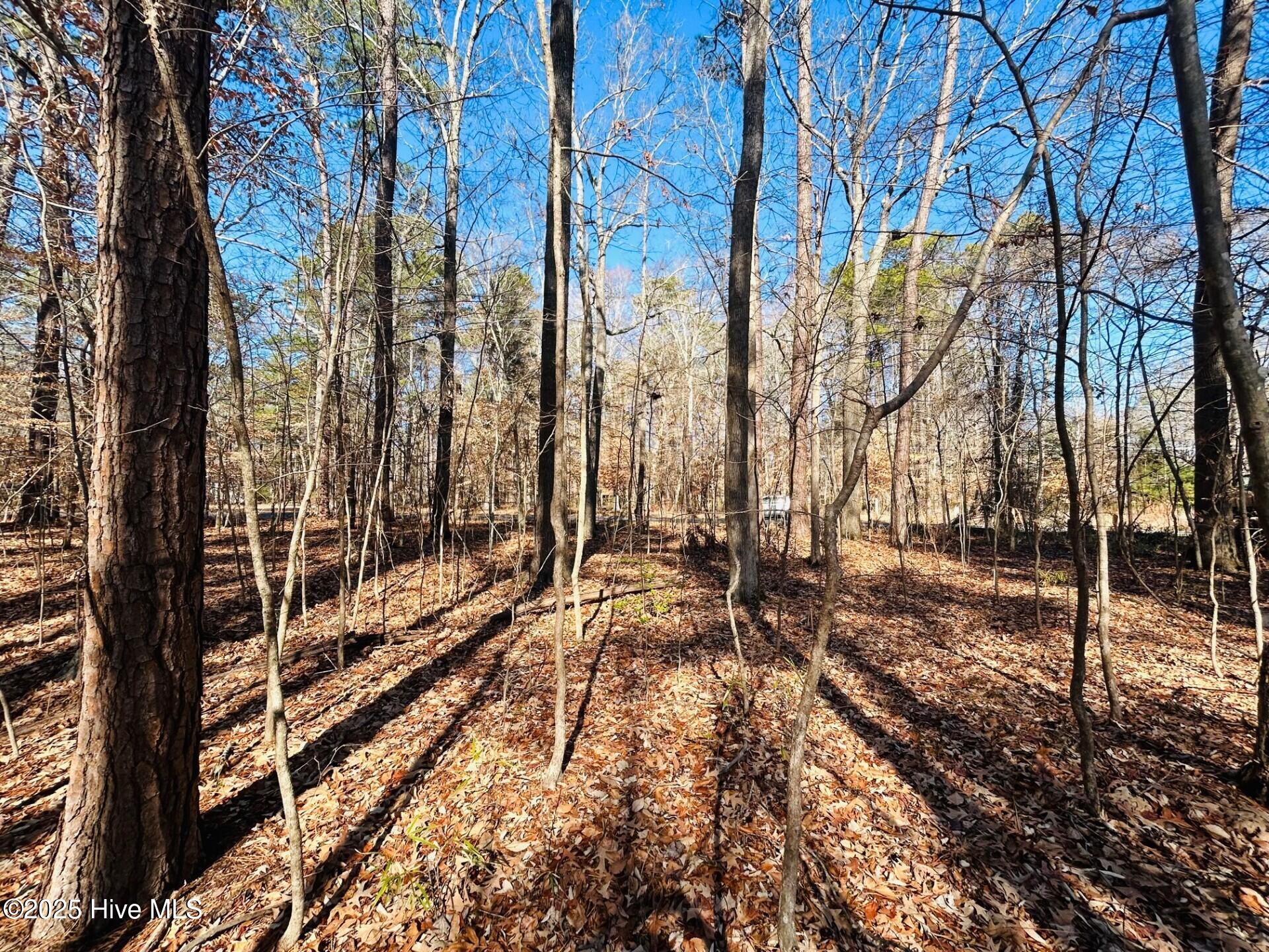 49 E Inlet Circle Property Photo 5