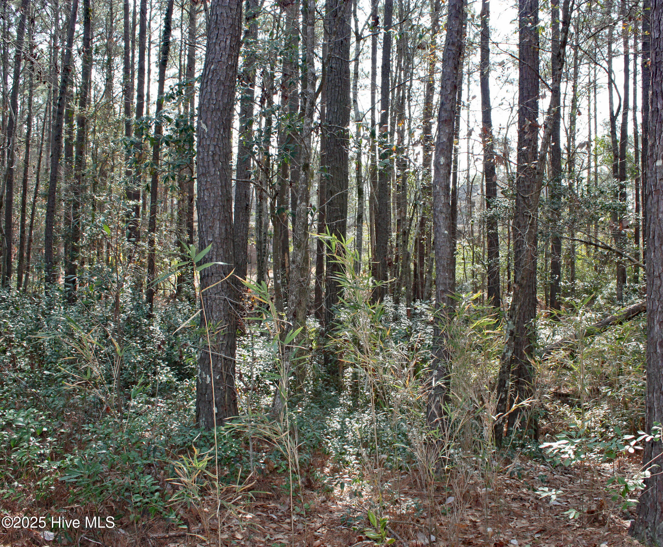 543 Lindgrove Place Property Photo 7