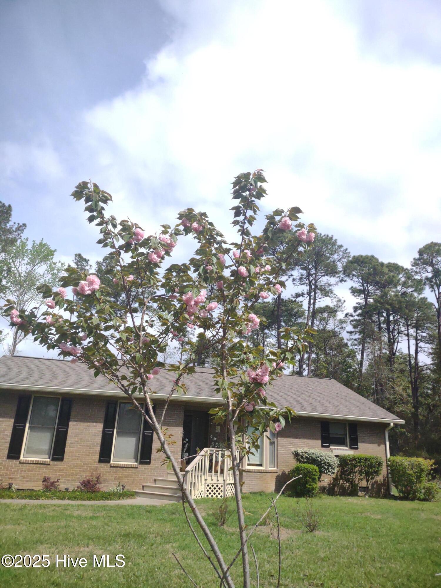 370 Boundaryline Drive Property Photo 8