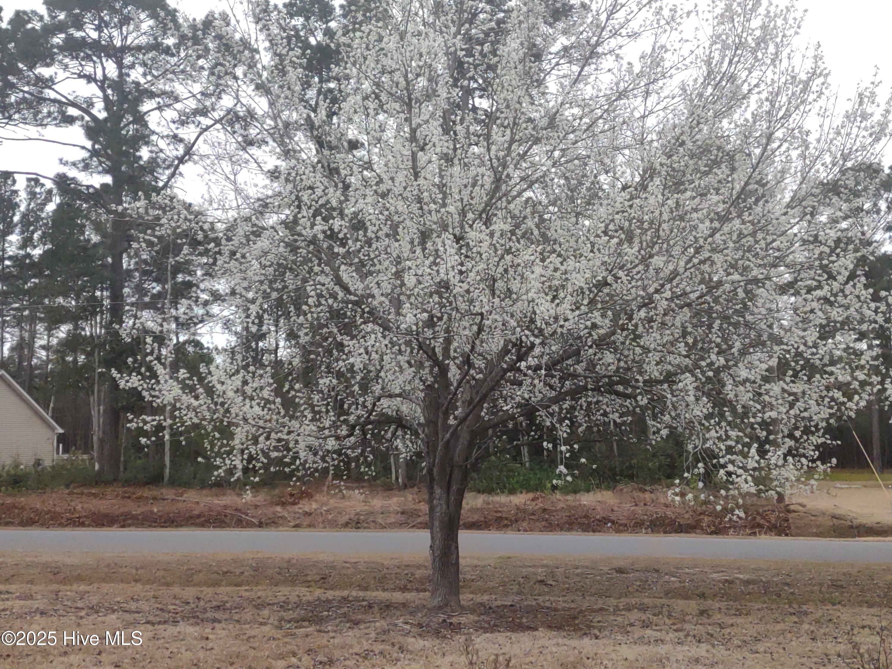 370 Boundaryline Drive Property Photo 50