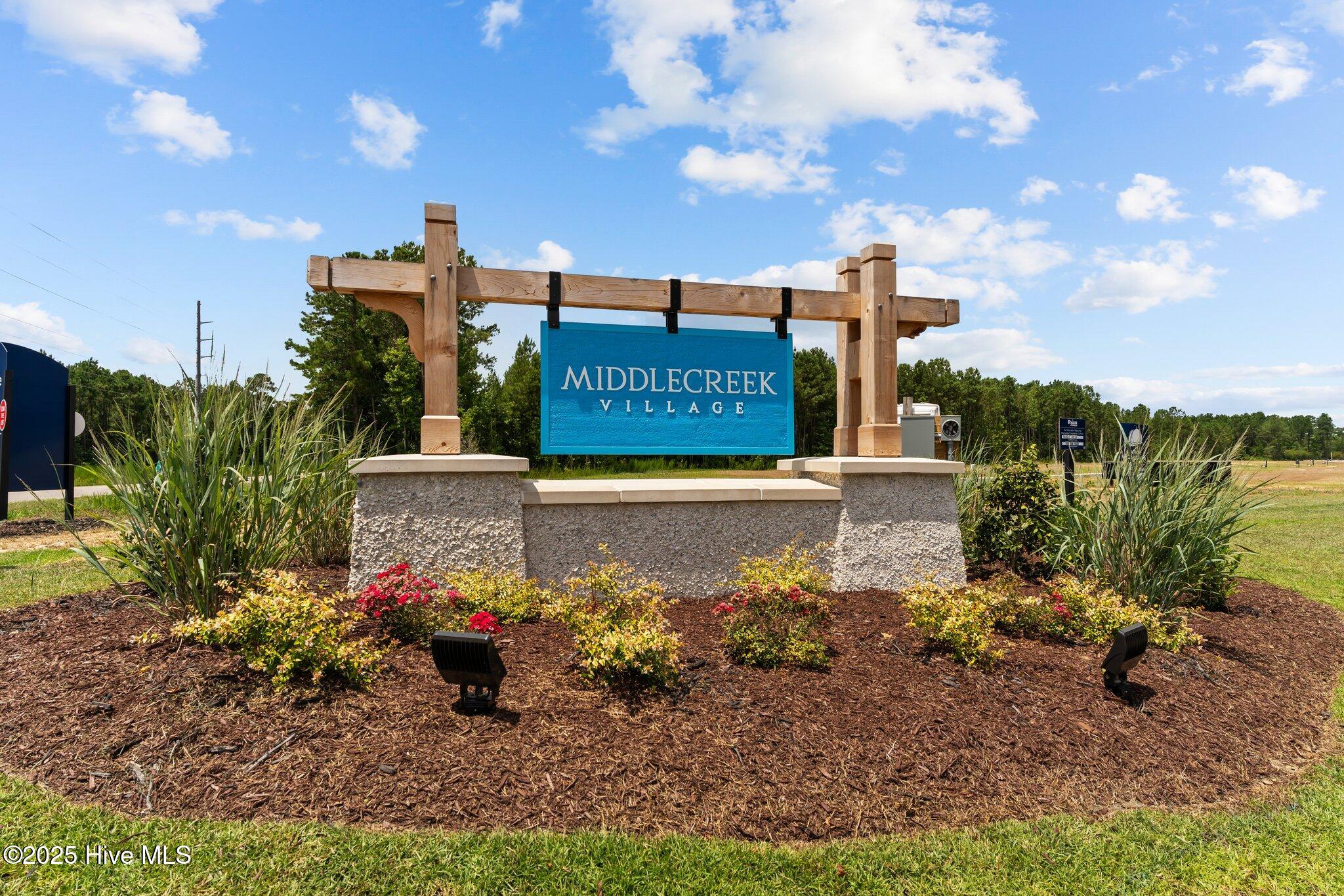 1424 Pine Log Trail Property Photo 16