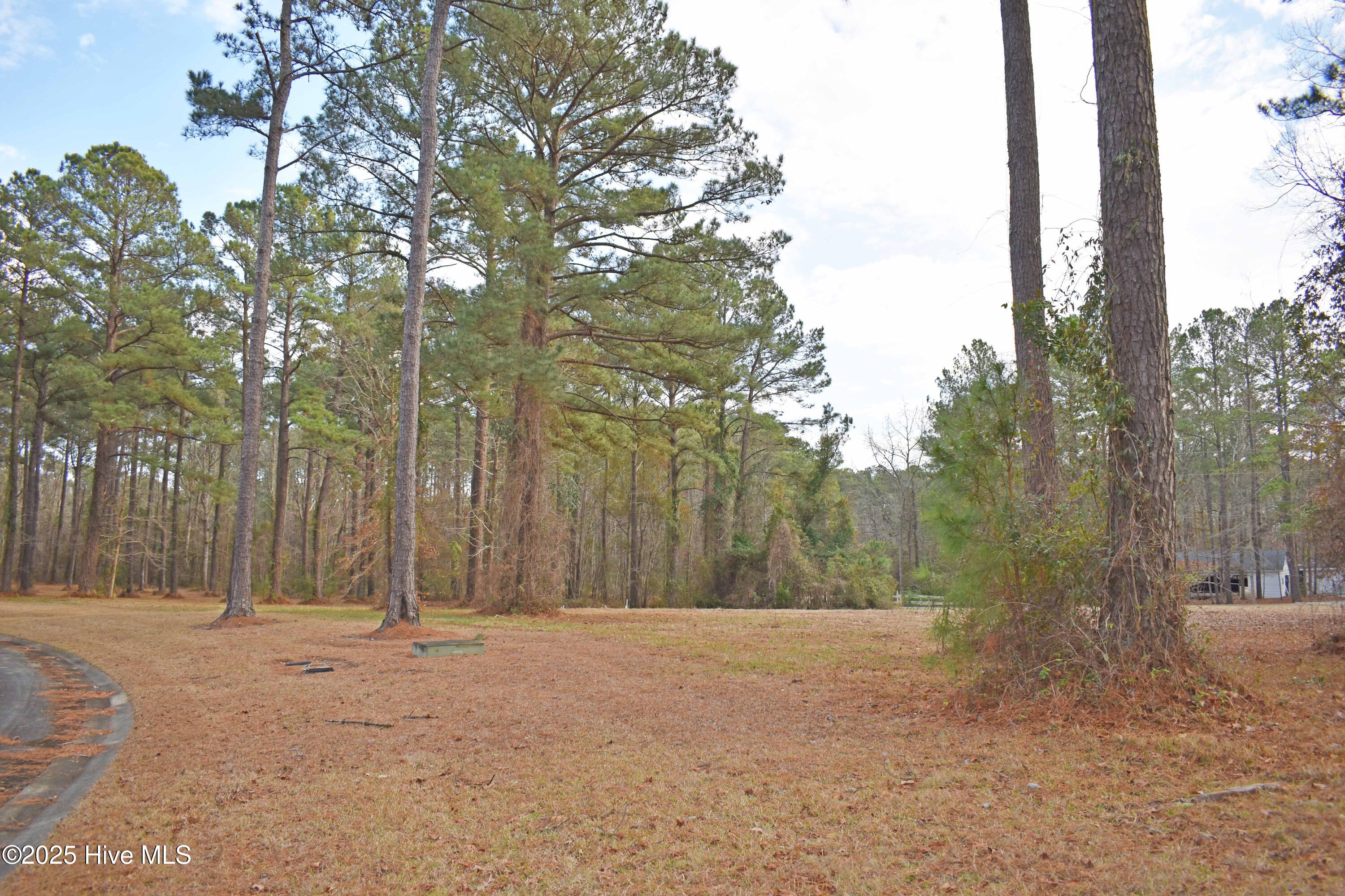 157 Corrolla Loop Road Property Photo 1