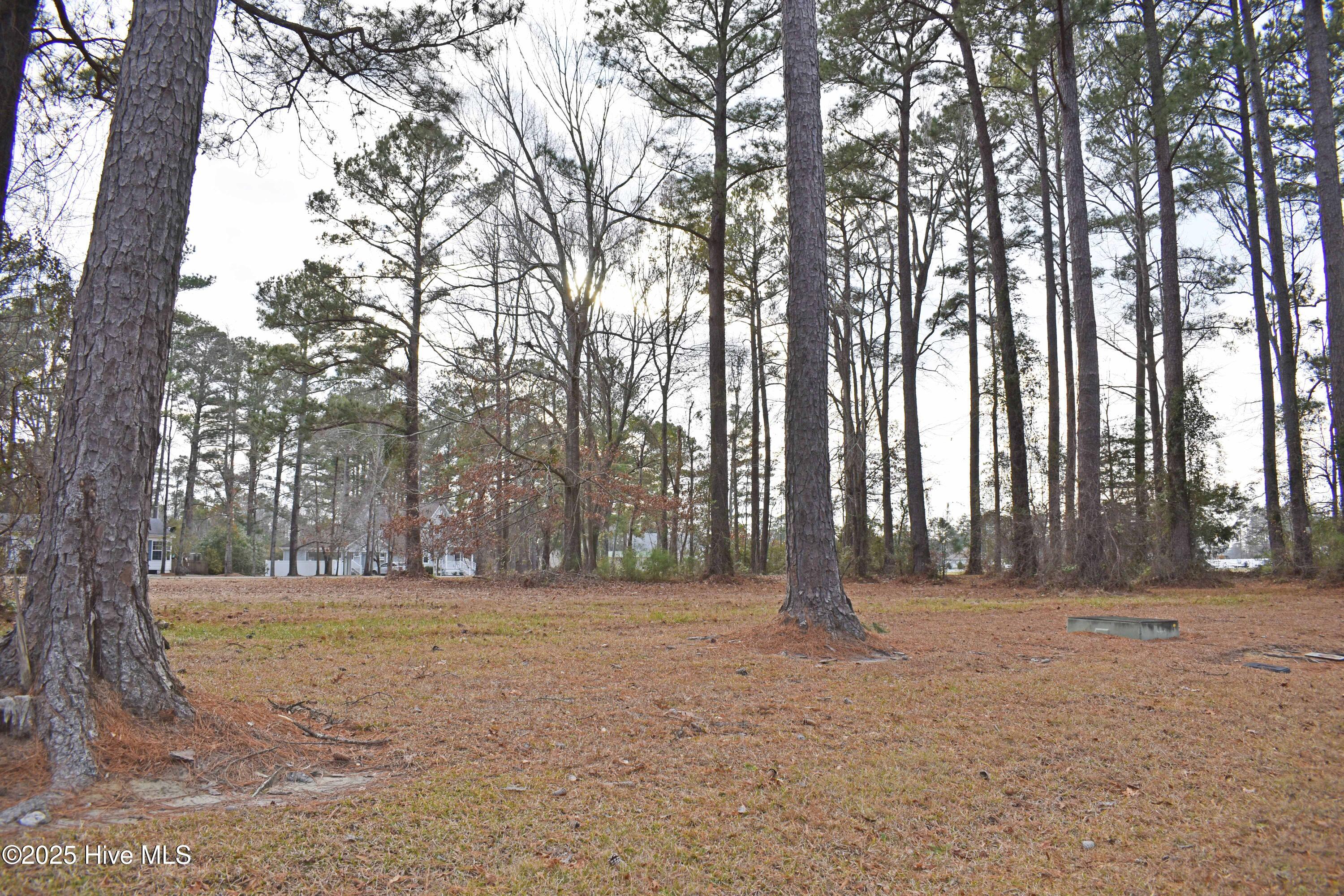 157 Corrolla Loop Road Property Photo 3