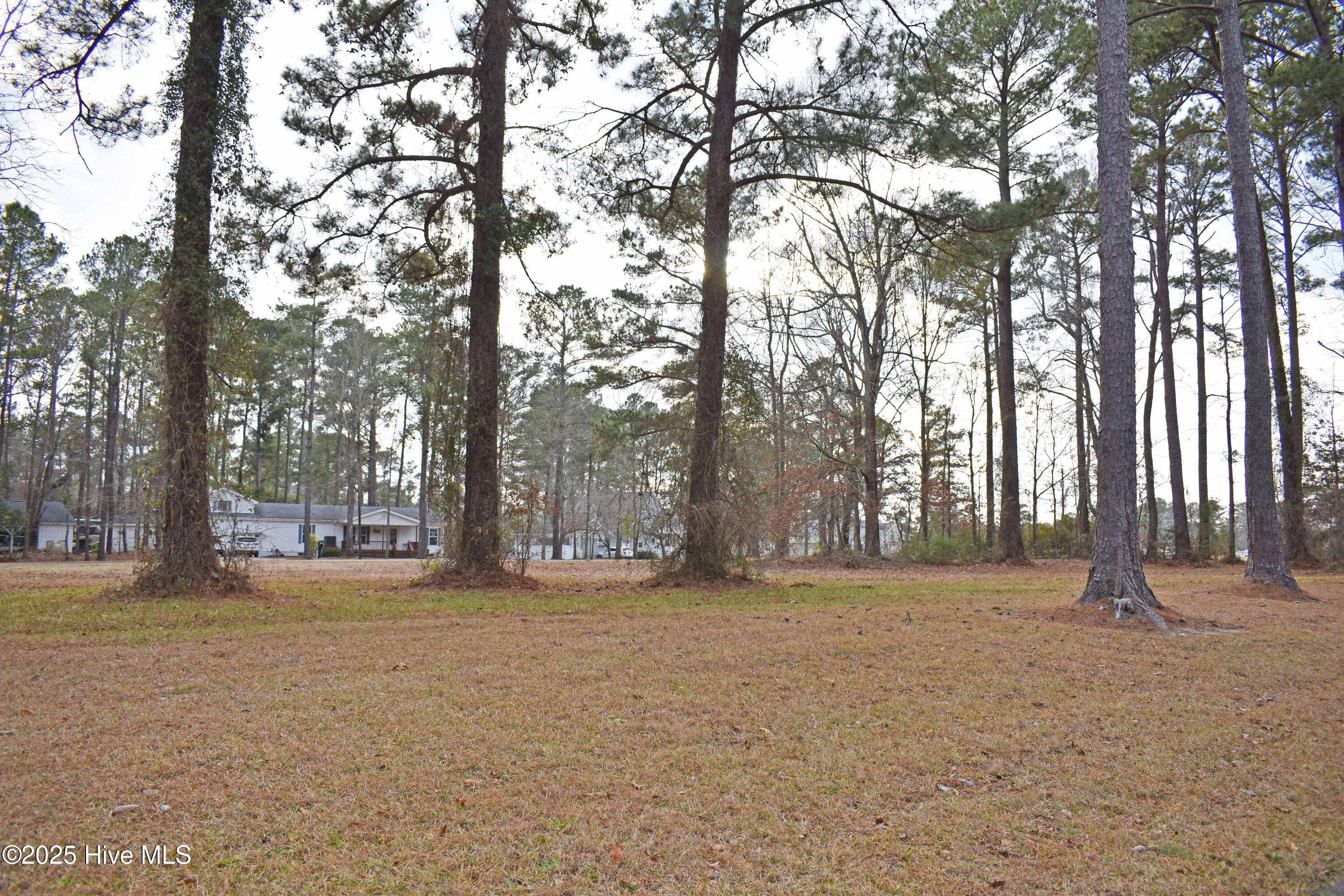 157 Corrolla Loop Road Property Photo 4