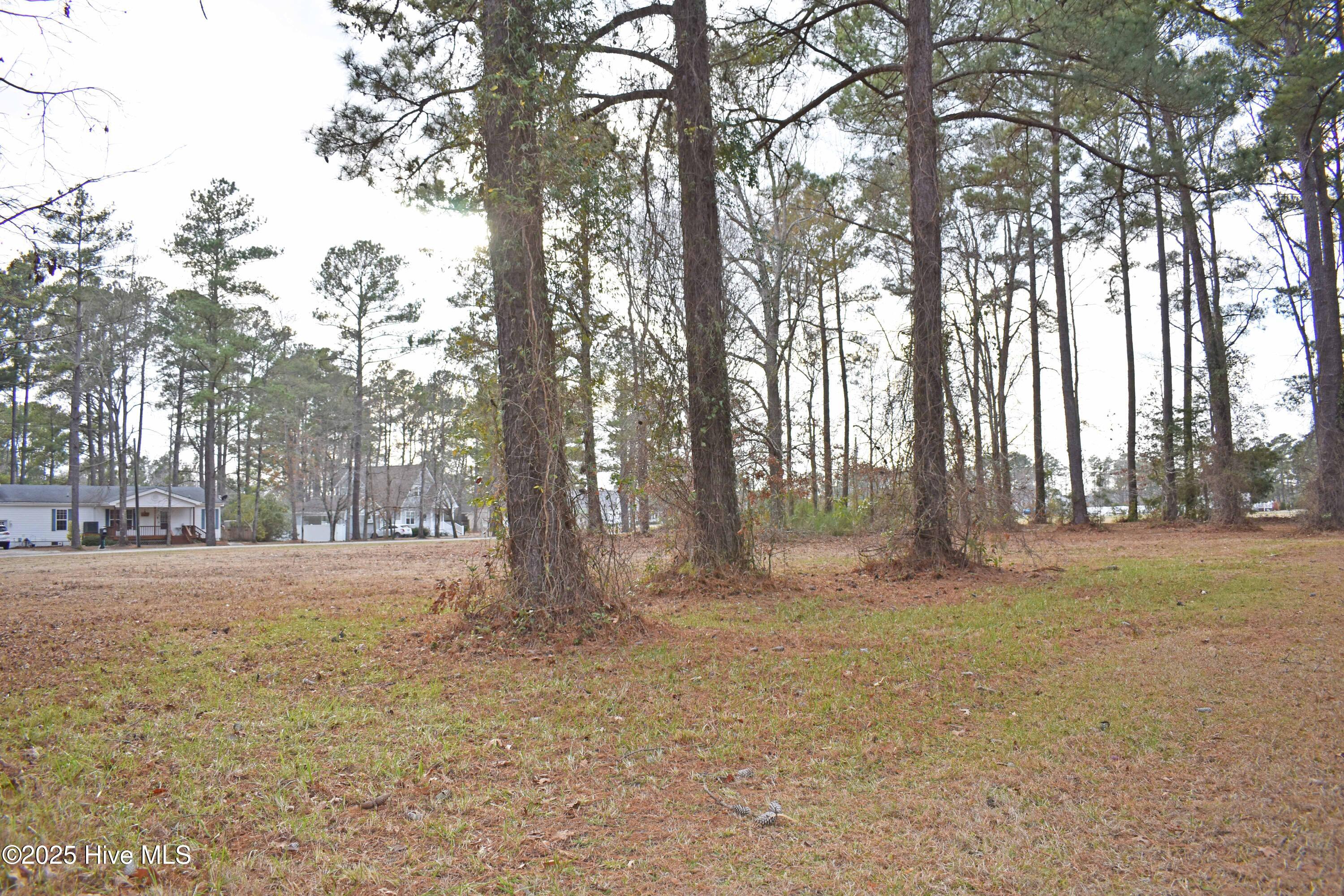 157 Corrolla Loop Road Property Photo 5