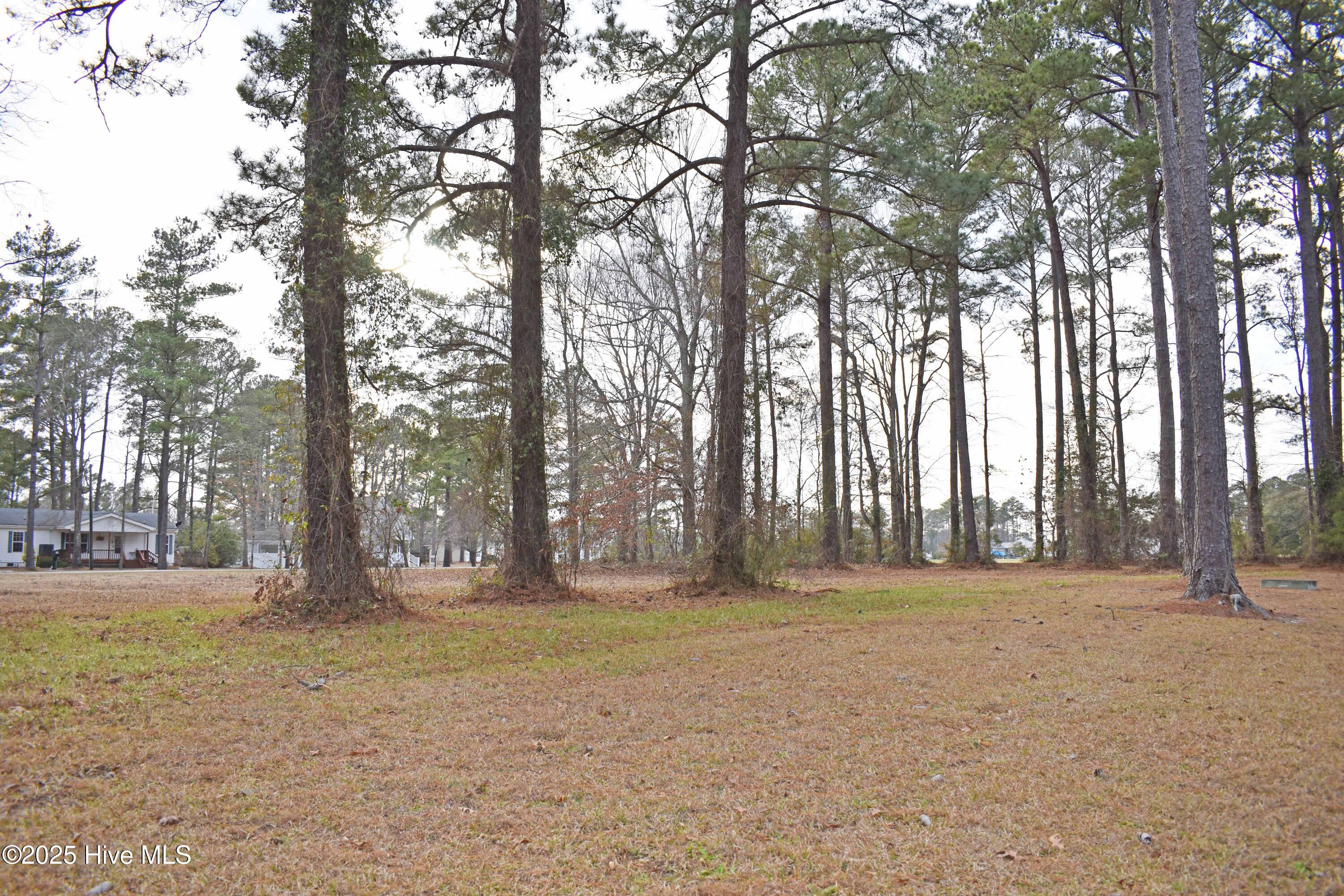 157 Corrolla Loop Road Property Photo 6