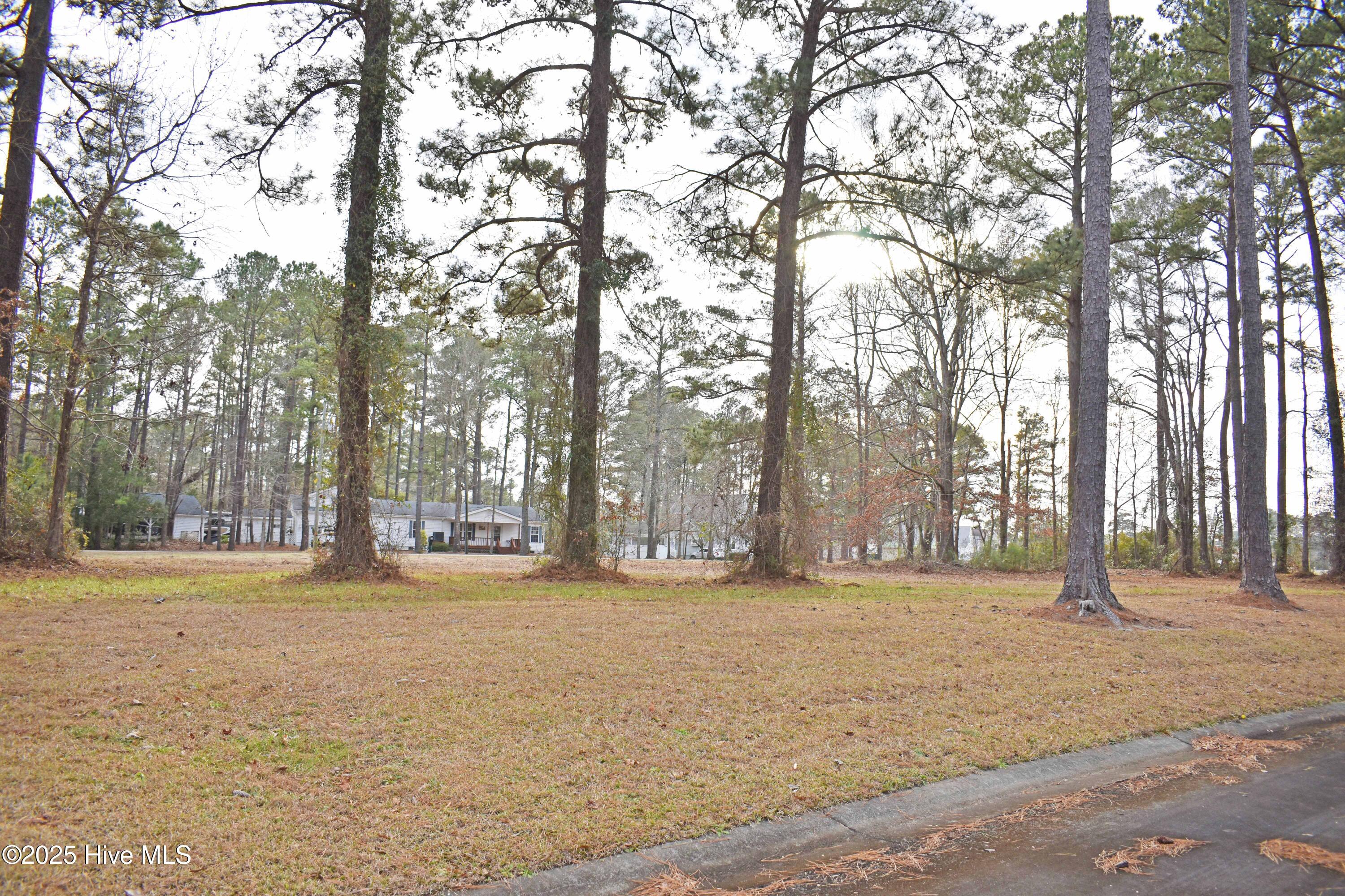 157 Corrolla Loop Road Property Photo 7