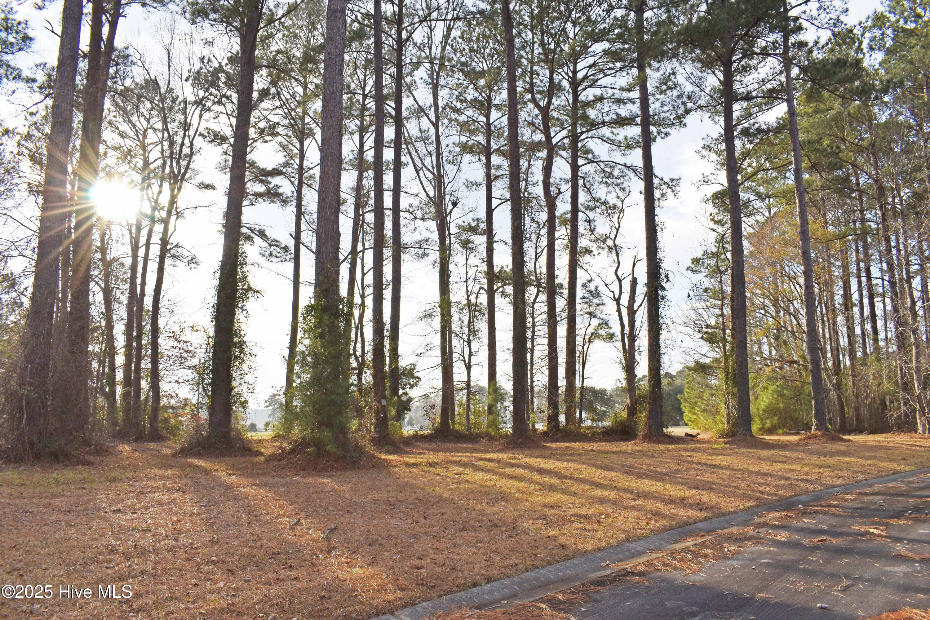 179 Corrolla Loop Road Property Photo