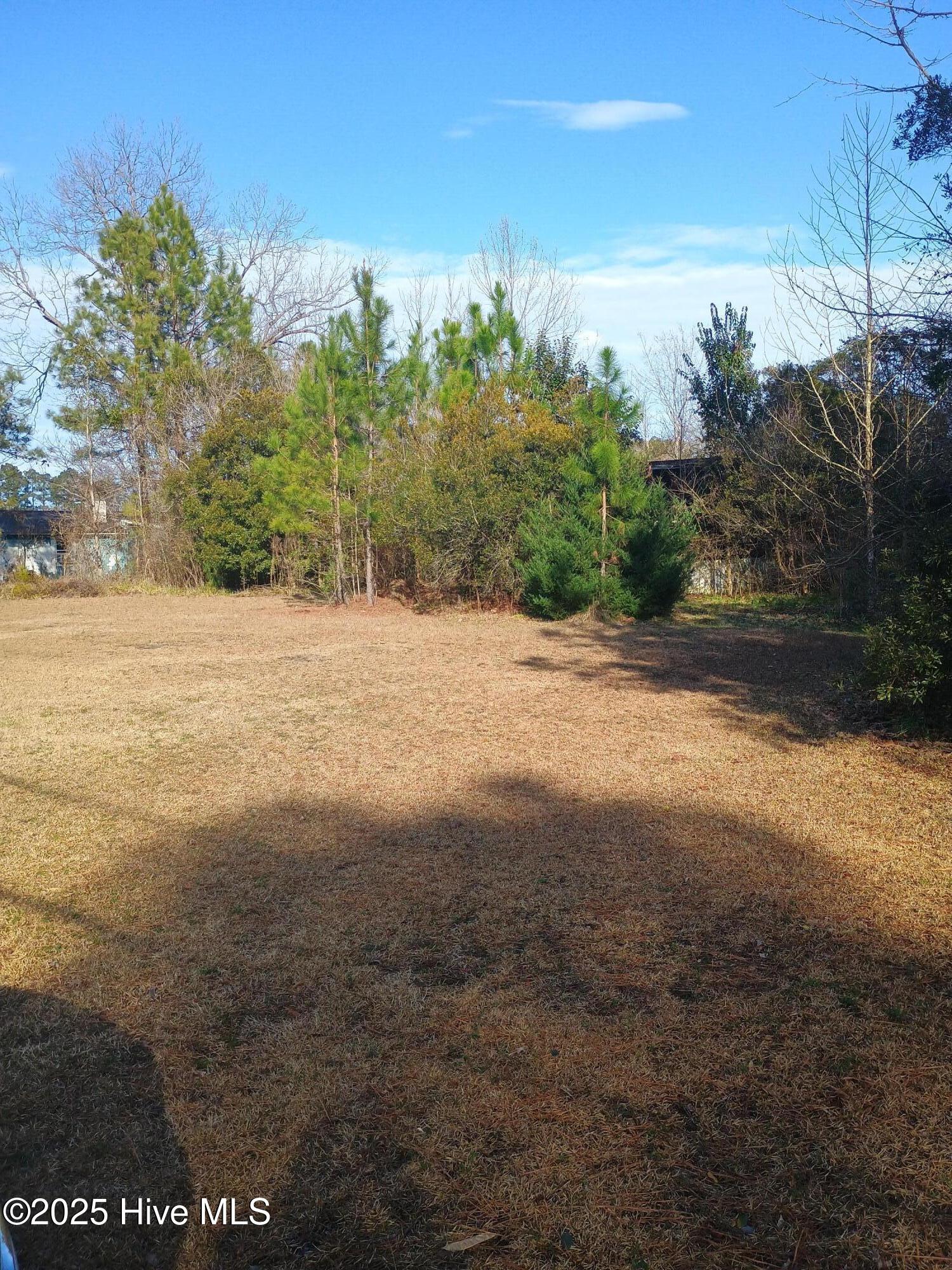 1719 Joe Brown Highway Property Photo 3