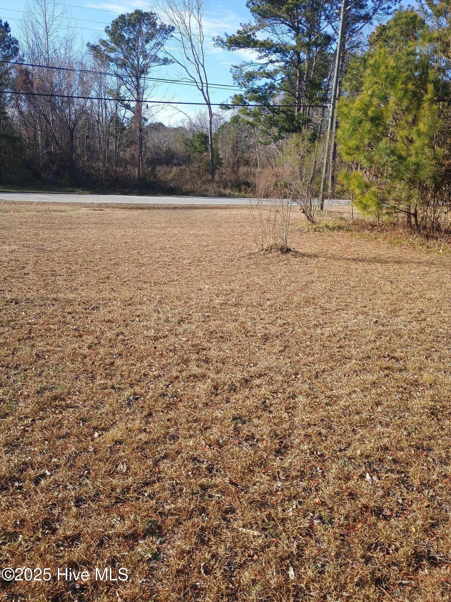 1719 Joe Brown Highway Property Photo 4