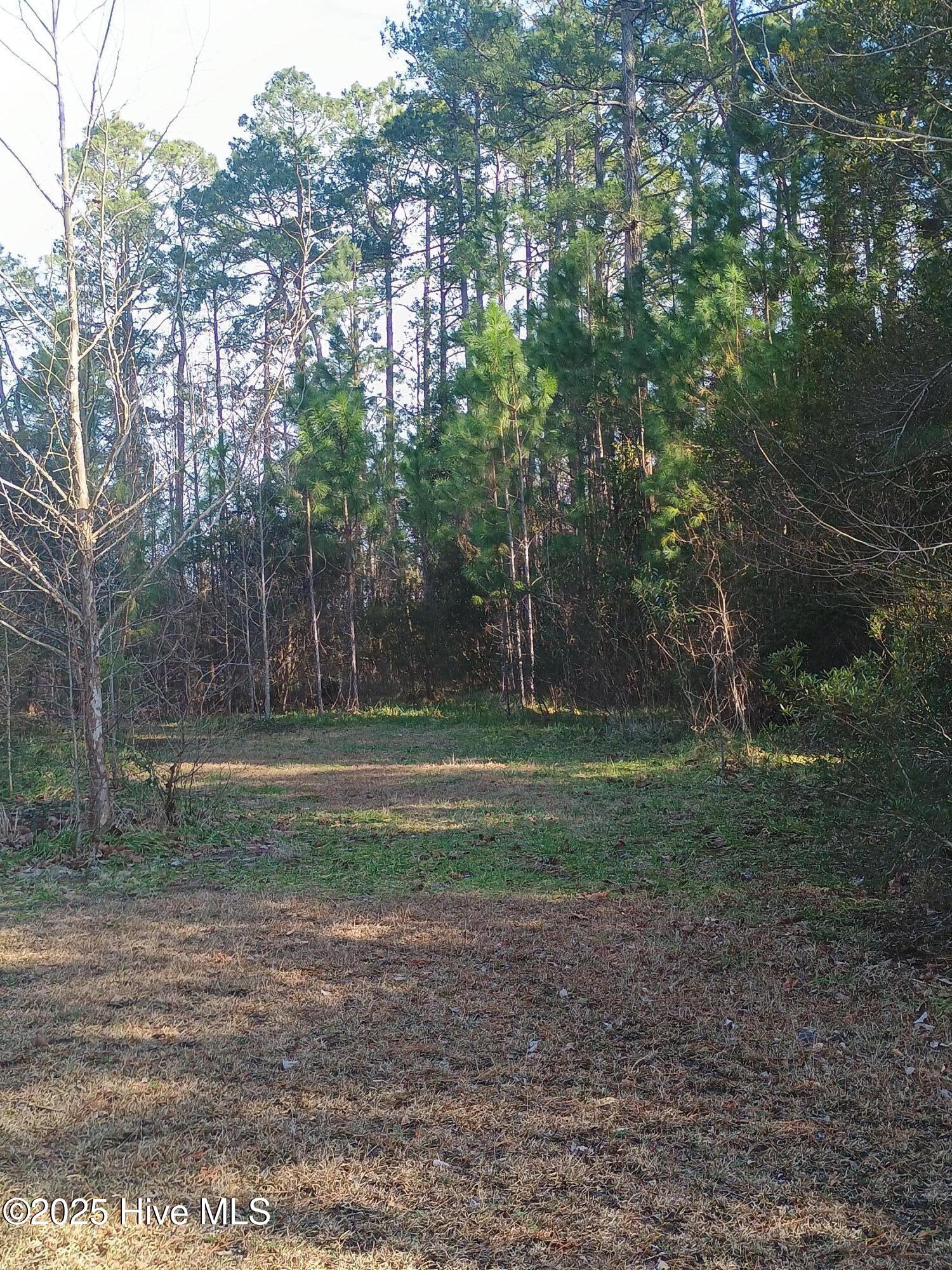 1719 Joe Brown Highway Property Photo 7