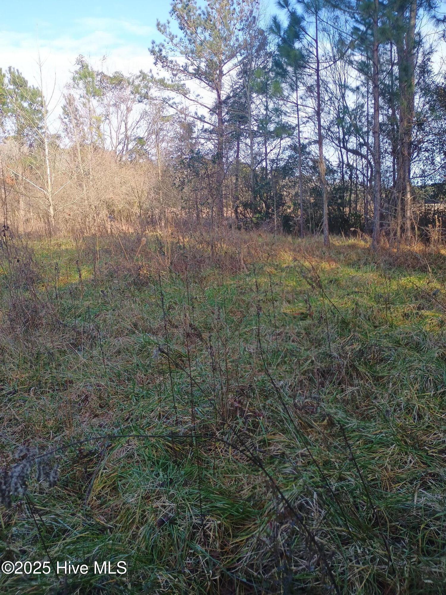 1719 Joe Brown Highway Property Photo 9