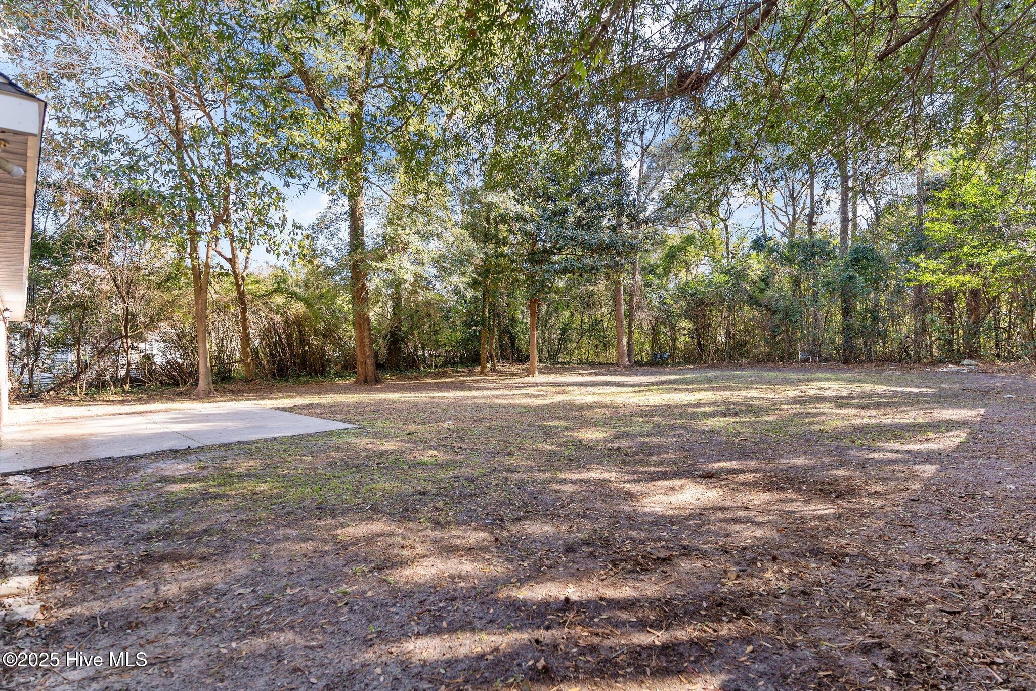 803 Bonham Avenue Property Photo 29