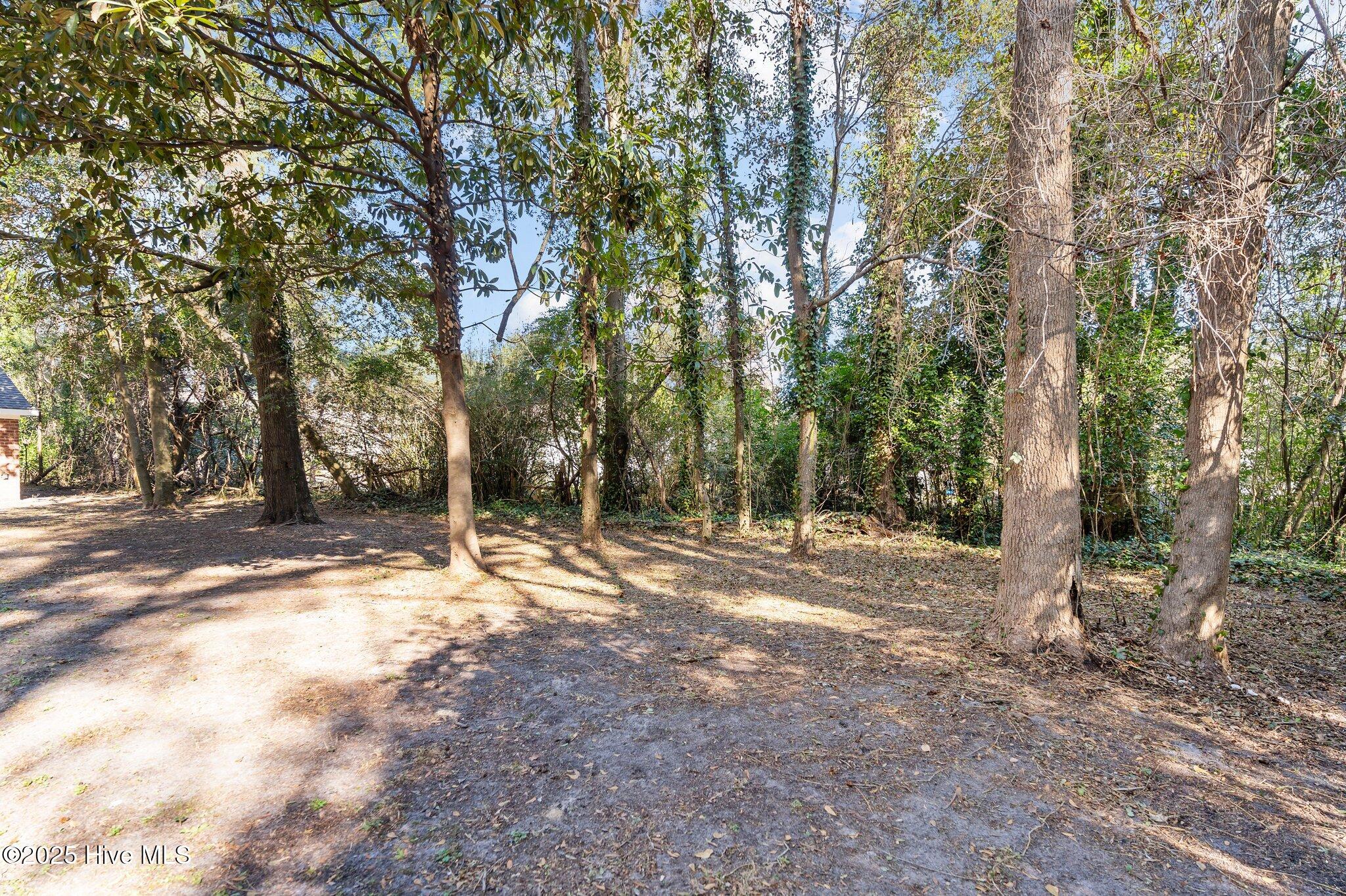803 Bonham Avenue Property Photo 34