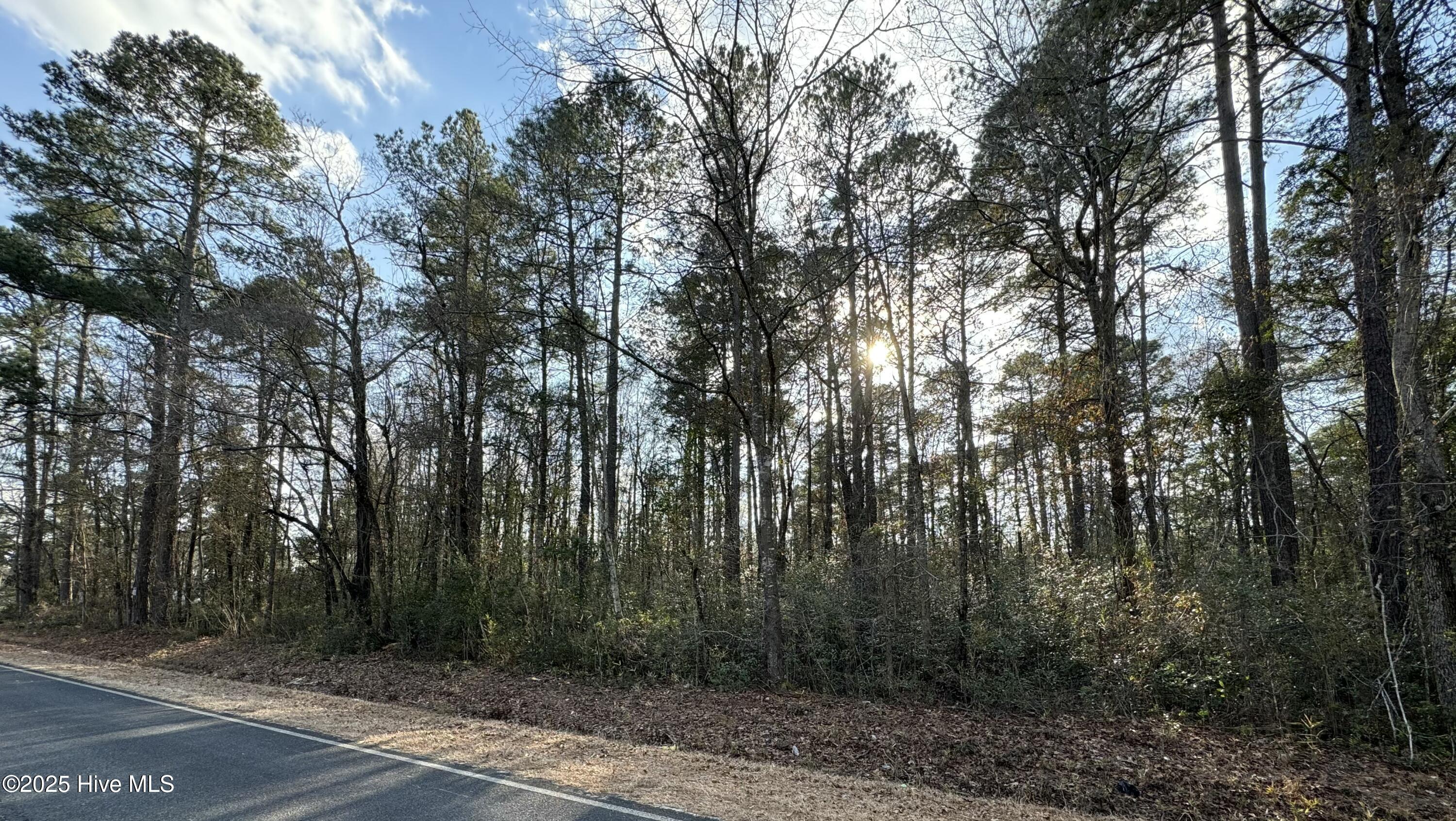 0 Rough Horn Road Property Photo 2
