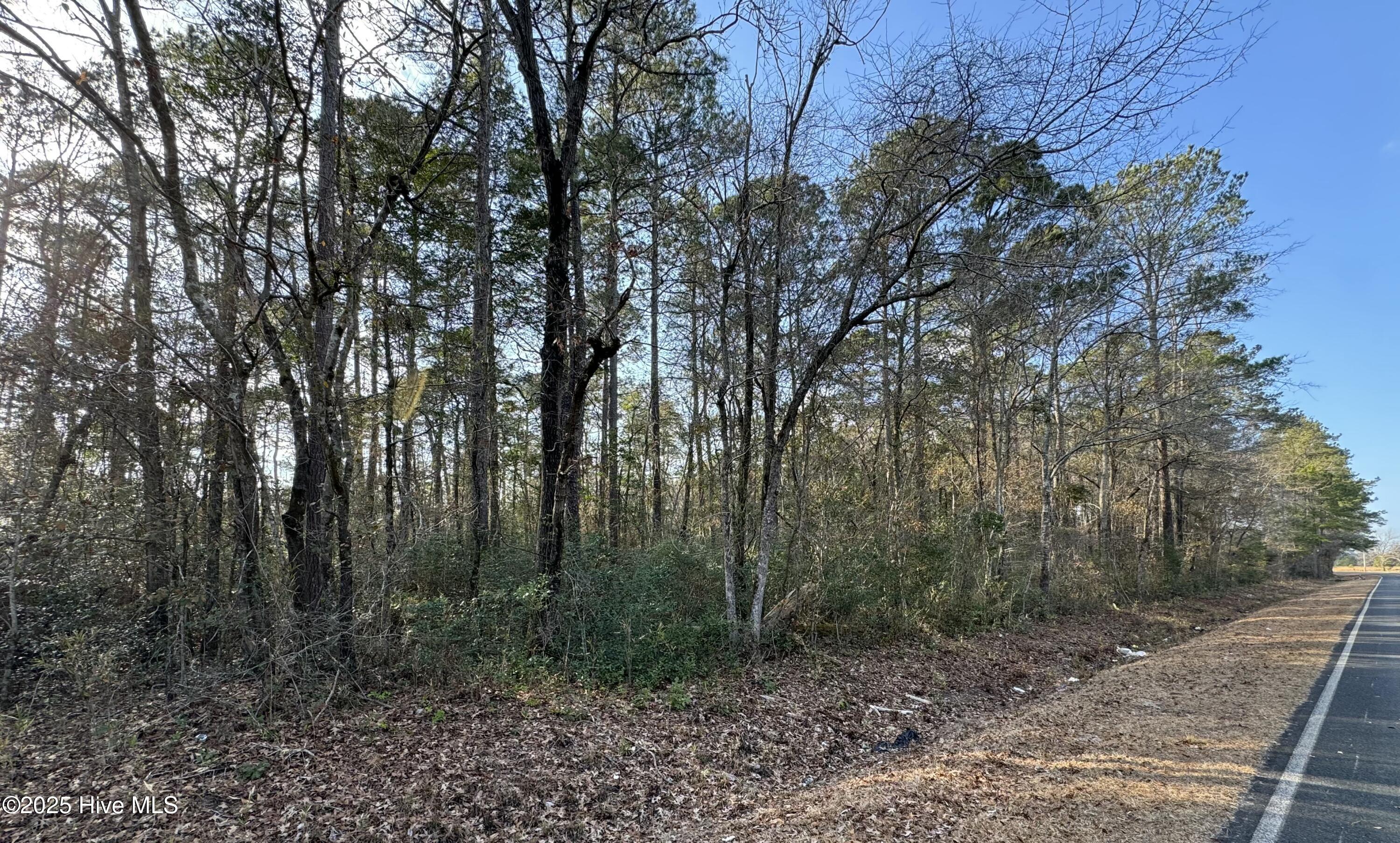 0 Rough Horn Road Property Photo 3