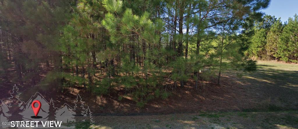 661 Log Cabin Road Property Photo 8